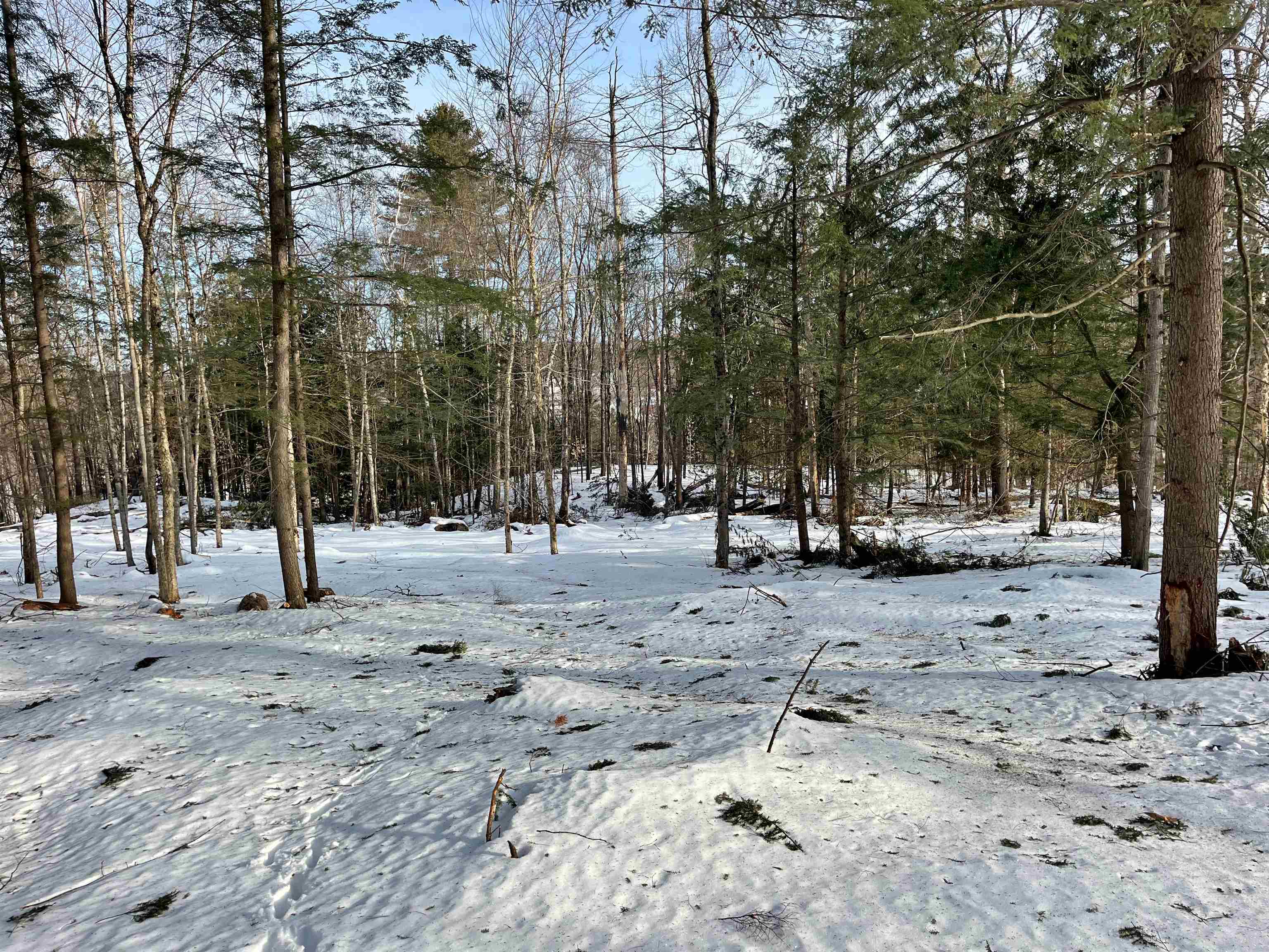 0 Duck Pond Road