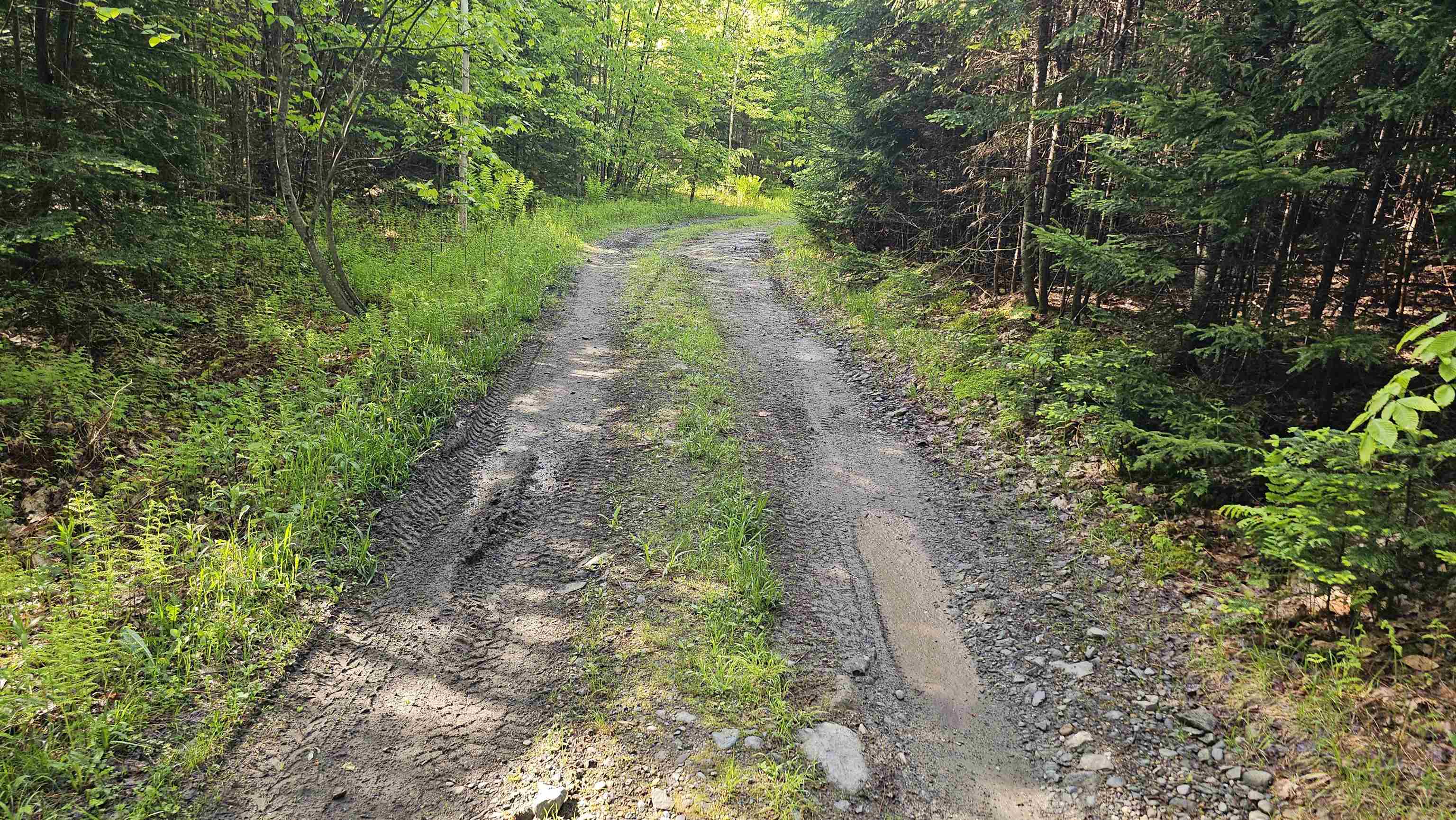 00 Hurlbut Hill Lane 19