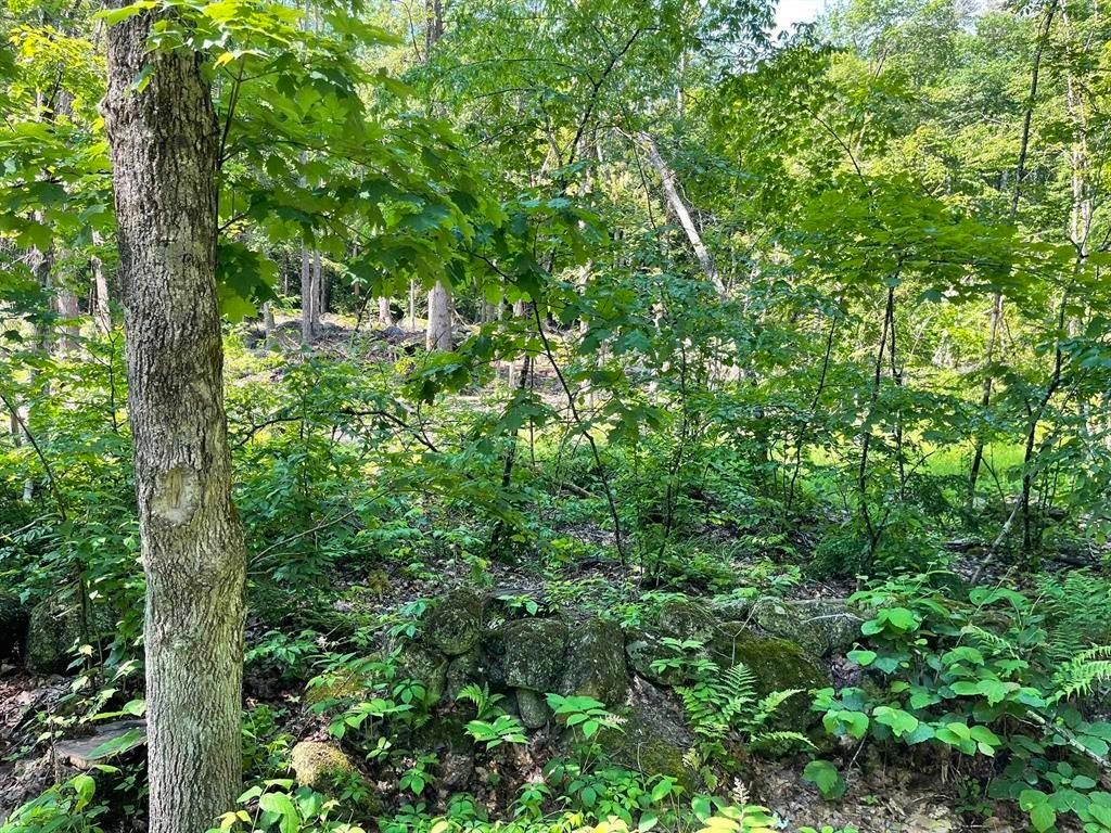 Photo of 00 Beard Road, Hillsborough, NH 03244 (MLS # 5080197)
