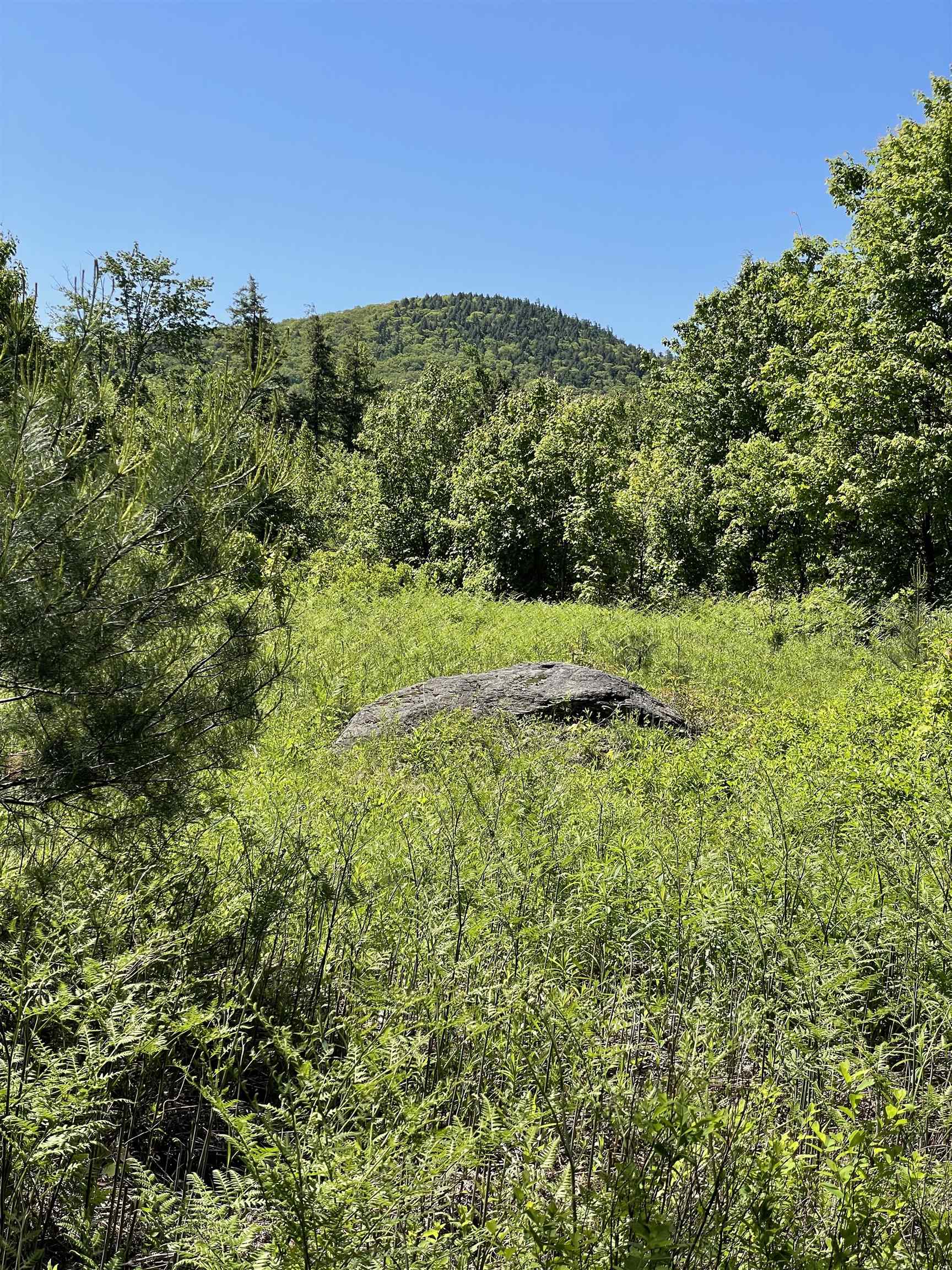 * ALDER PLAINS Road