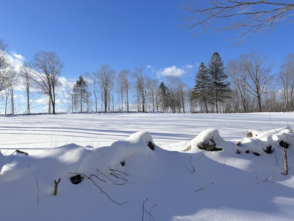 Woodward Hill Road LOT B