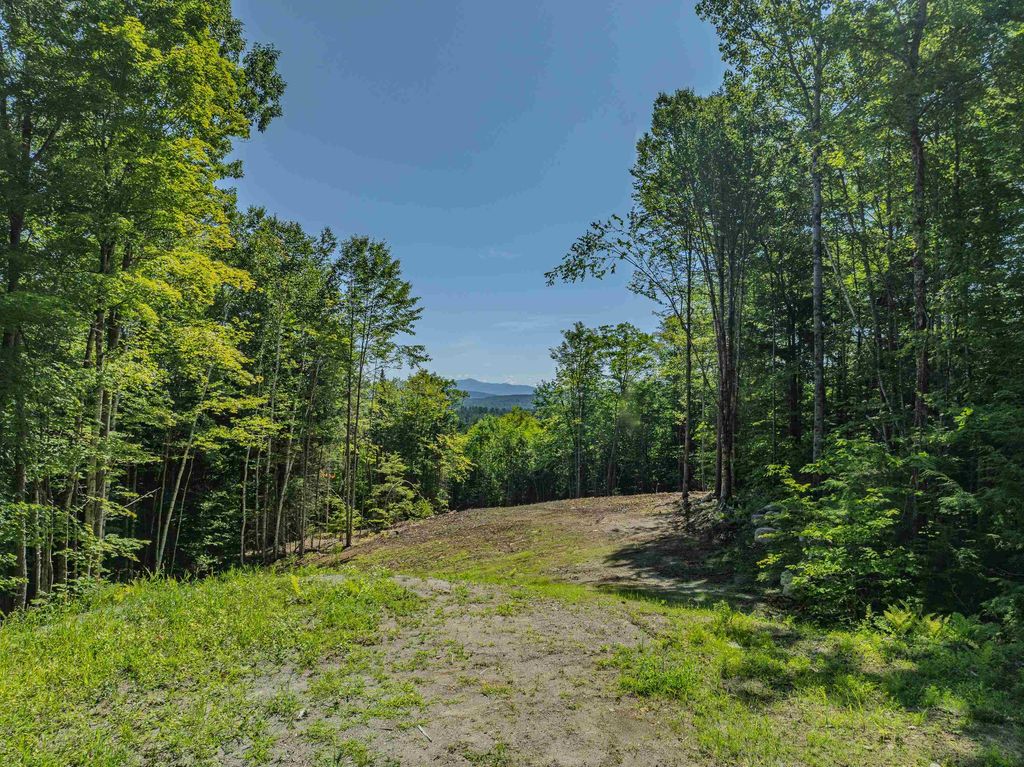 Photo of 9229 Birchcroft Drive, Littleton, NH 03561 (MLS # 5053280)