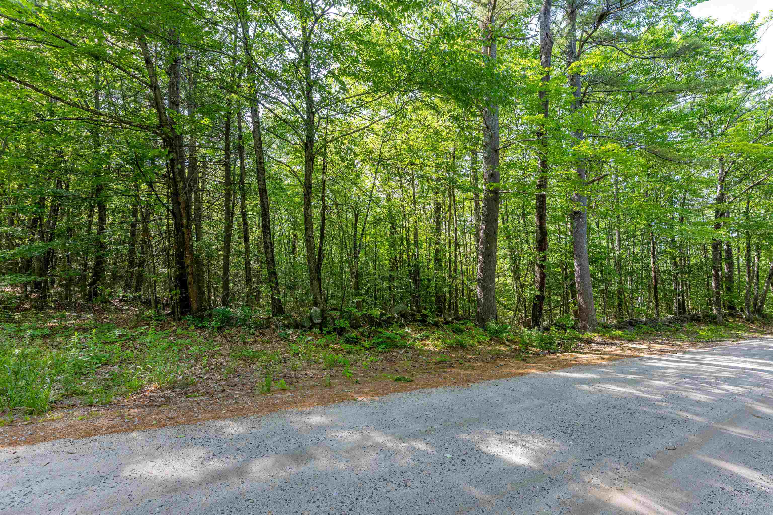 256 Irish Hill Road