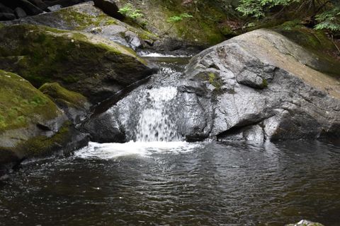 Saunders Hill Road Wentworth NH 03282