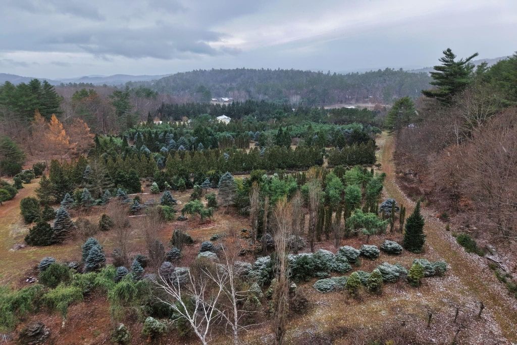 Photo of 0 Mount Moosilauke Highway, Wentworth, NH 03282 (MLS # 5070268)