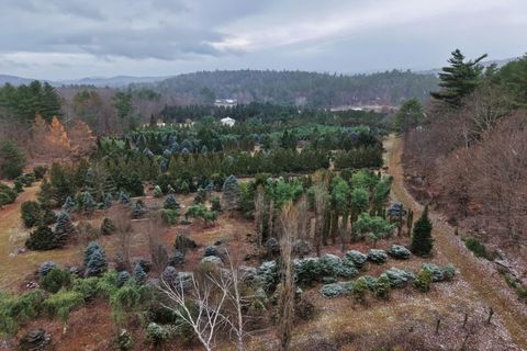 0 Mount Moosilauke Highway Wentworth NH 03282