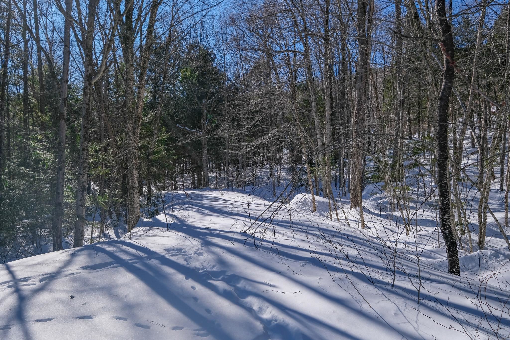 0 Woods Road West Lot #33