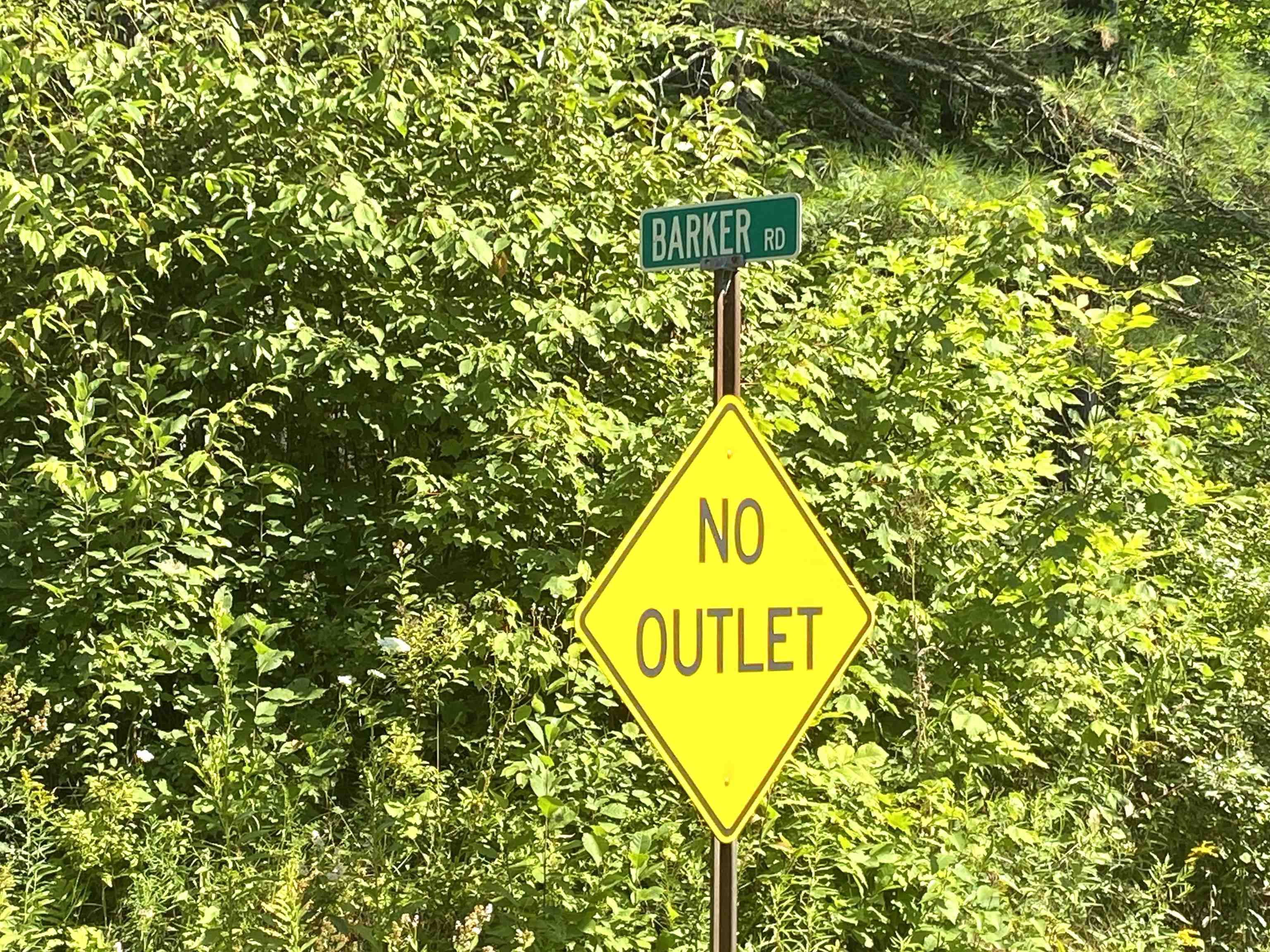 Ripton, Vermont 05766, United States, ,Land,Active,189324