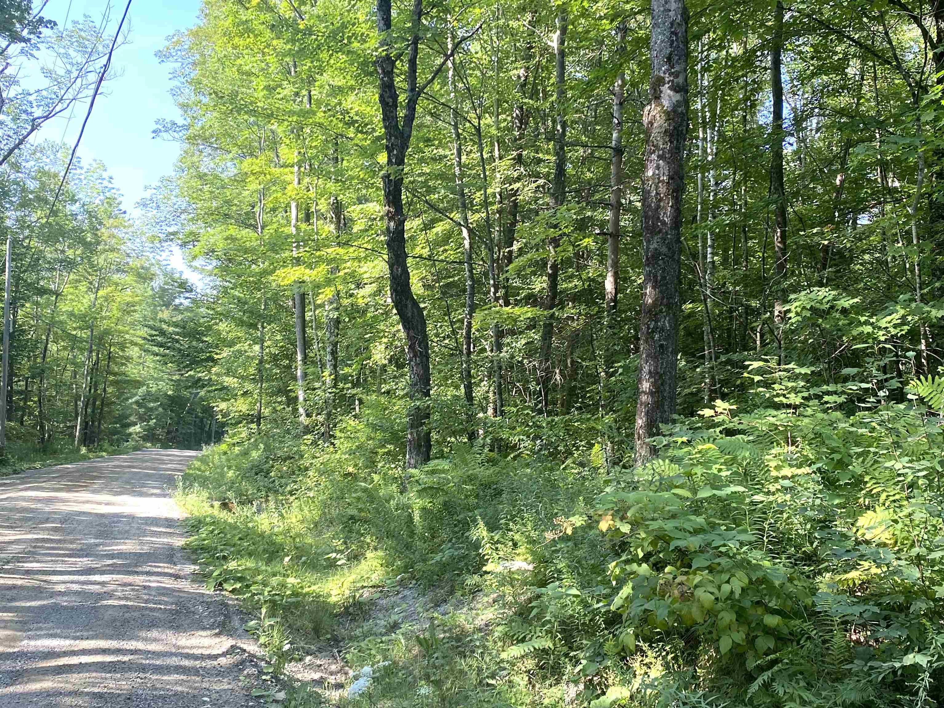 Ripton, Vermont 05766, United States, ,Land,Active,189324