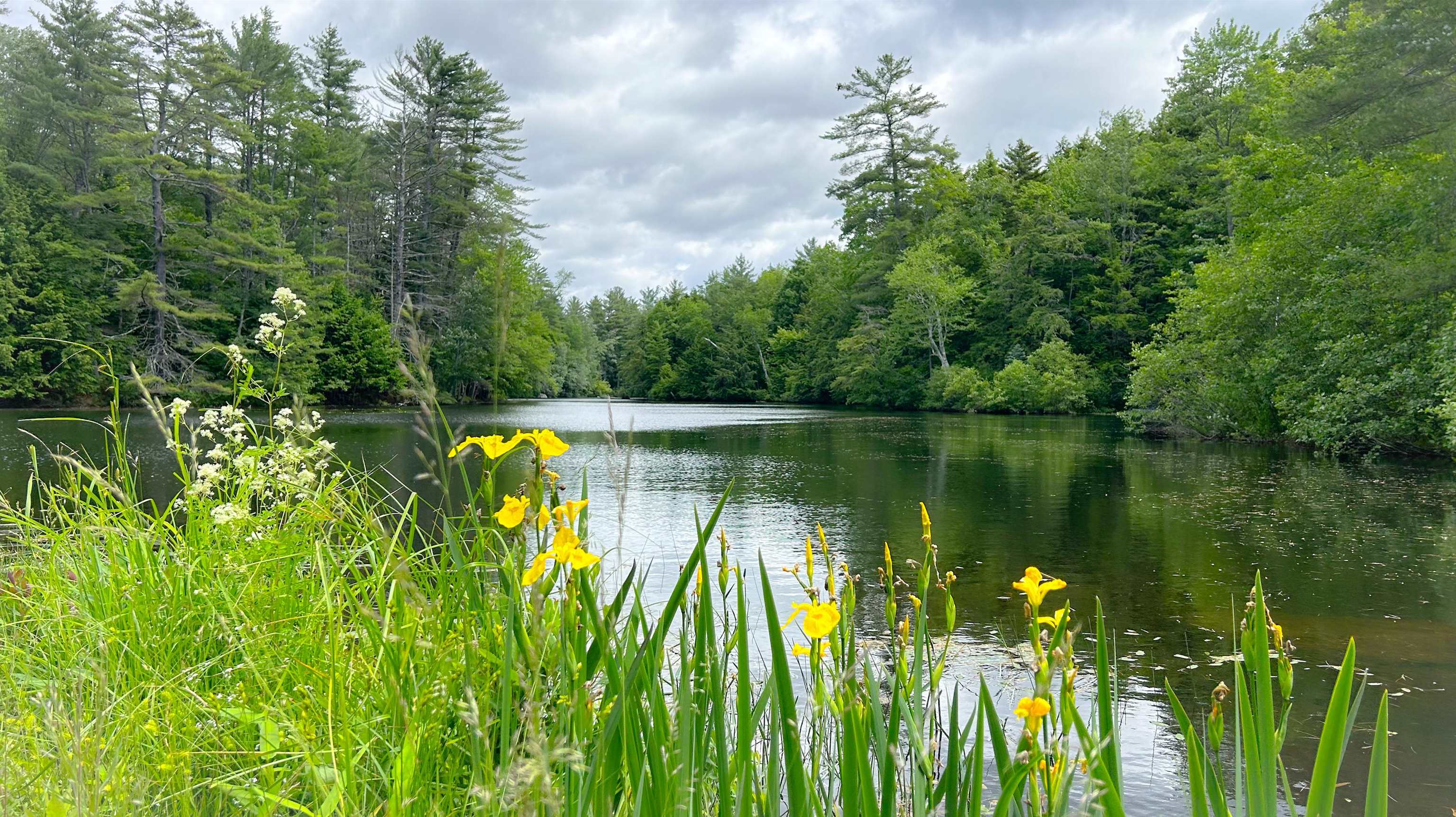 Wilmot, New Hampshire 03287, United States, 3 Bedrooms Bedrooms, ,2 BathroomsBathrooms,Residential,Pending,157477