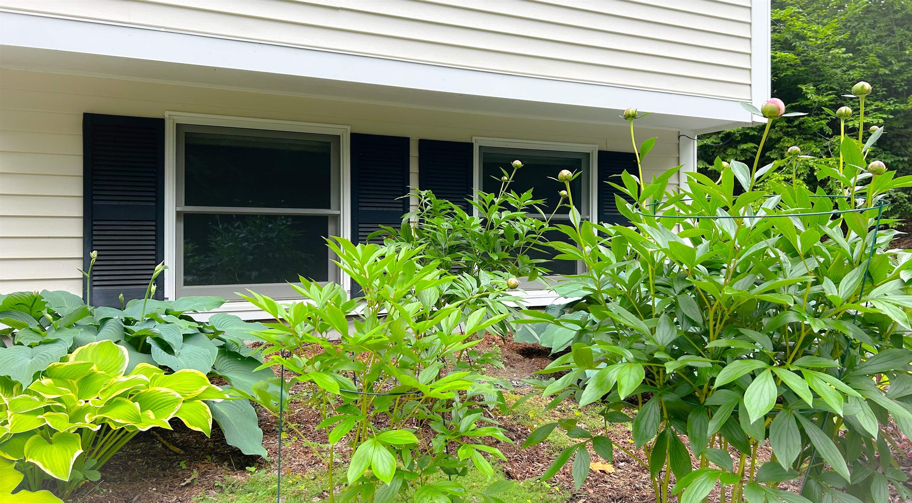 Wilmot, New Hampshire 03287, United States, 3 Bedrooms Bedrooms, ,2 BathroomsBathrooms,Residential,Pending,157477