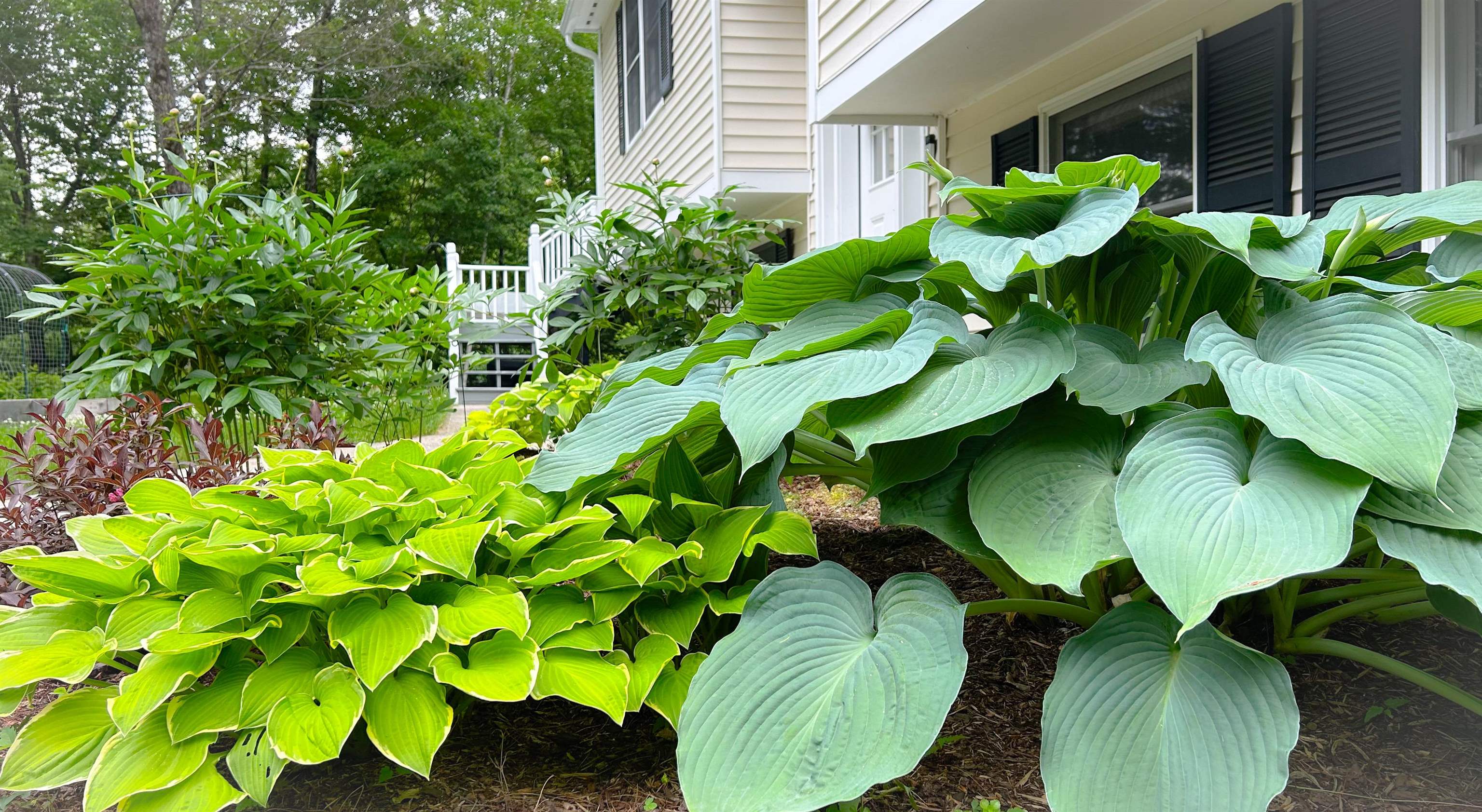 Wilmot, New Hampshire 03287, United States, 3 Bedrooms Bedrooms, ,2 BathroomsBathrooms,Residential,Pending,157477