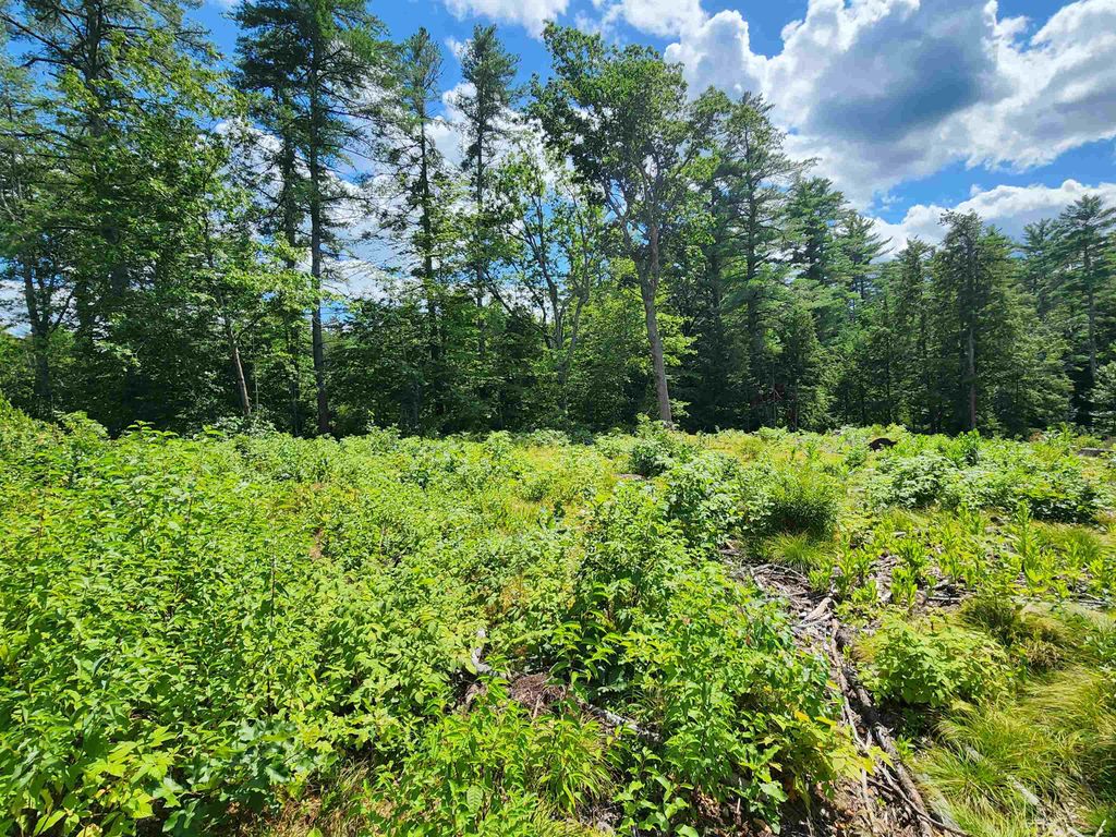 Photo of 00 Wales Bridge Road, Loudon, NH 03307 (MLS # 5056925)