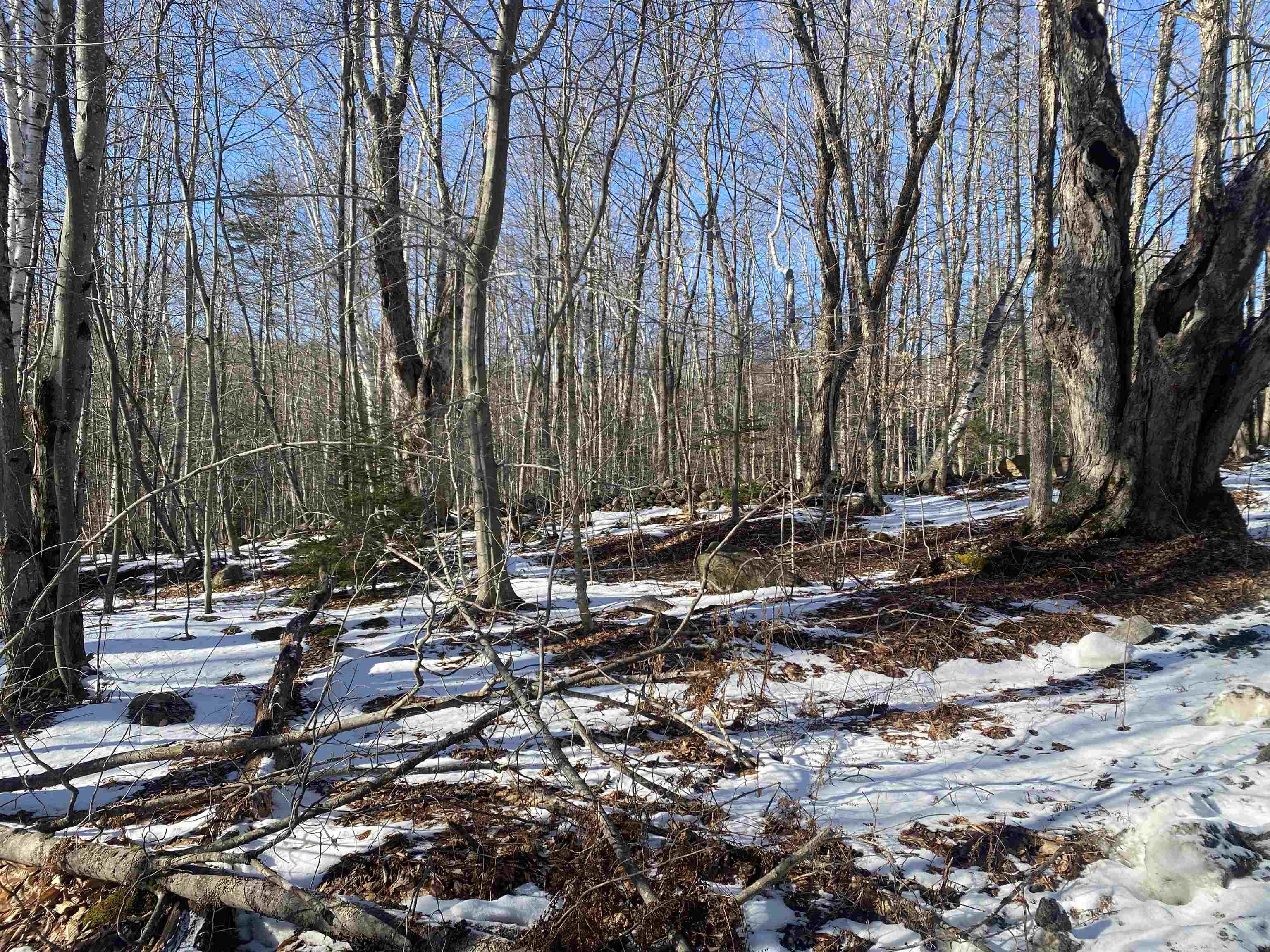 0 Dalewood Road Lot/parcel #26