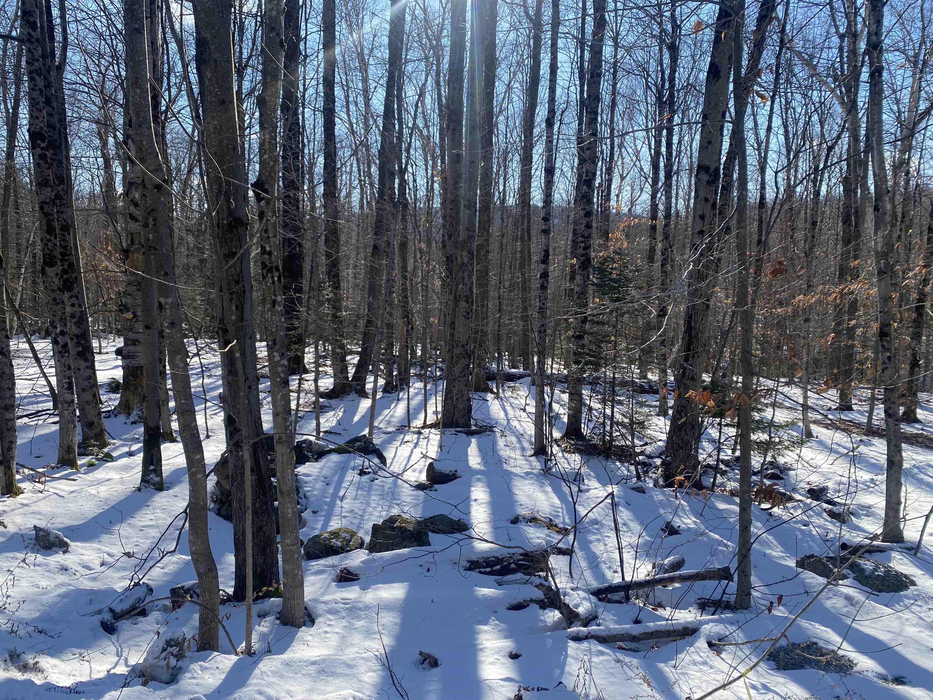 0 Dalewood Road Lot/parcel #26