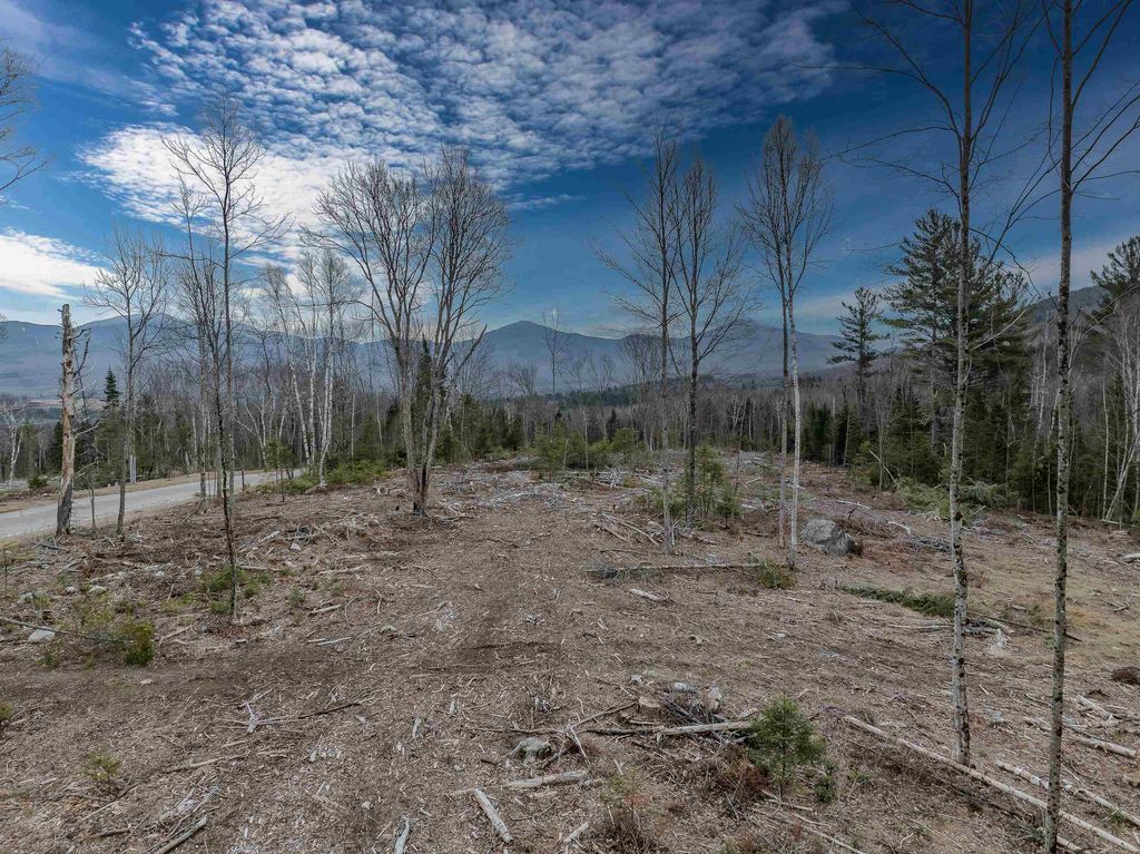 Photo of 0000 Ridge Road #42, Bethlehem, NH 03574 (MLS # 5081597)