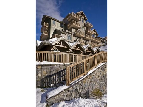 7412 Mountain Road 02-03 Stowe VT 05672