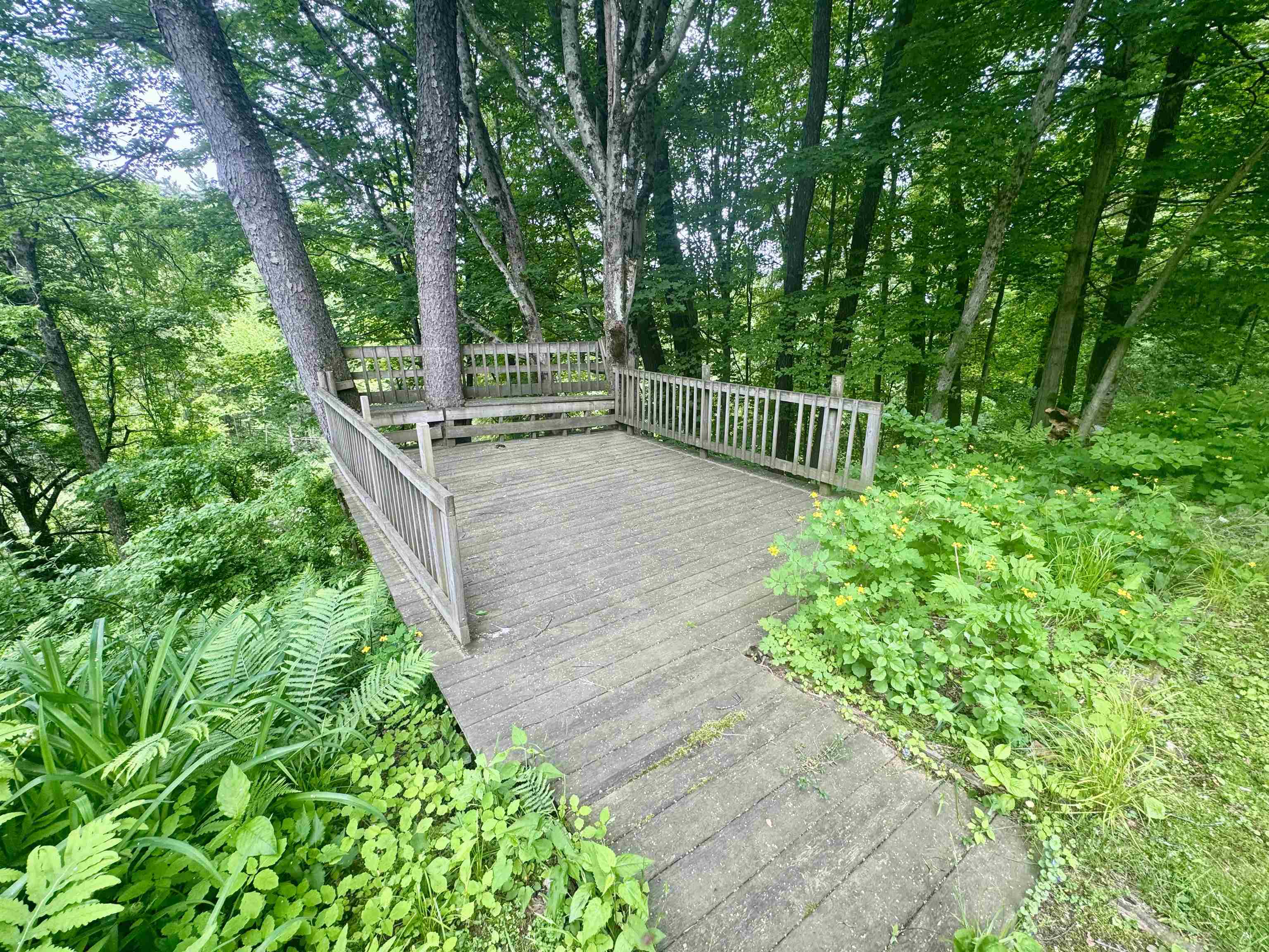119 Upper Meadows Road