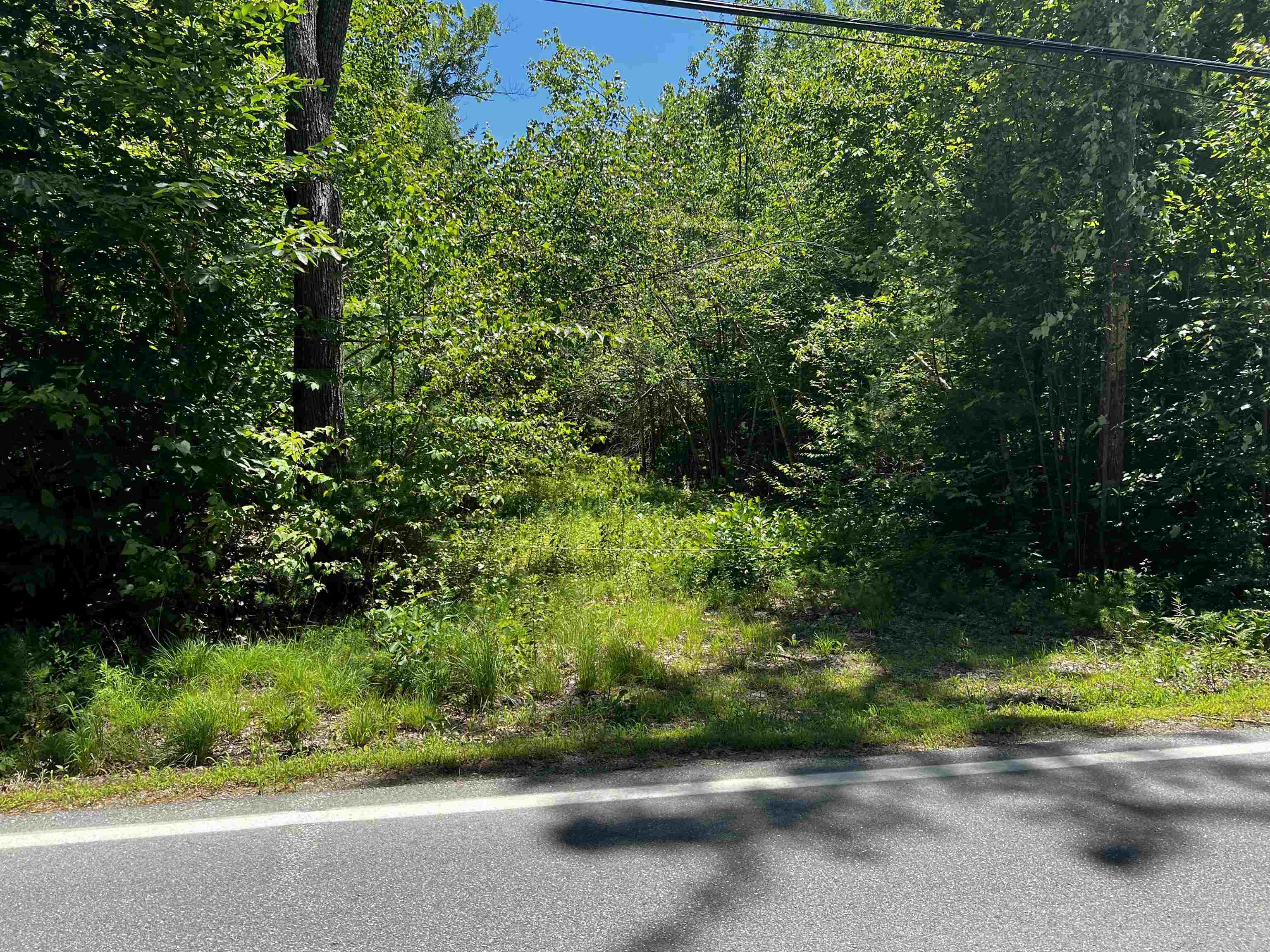 Map 220 Lot 16 Four Rod Road