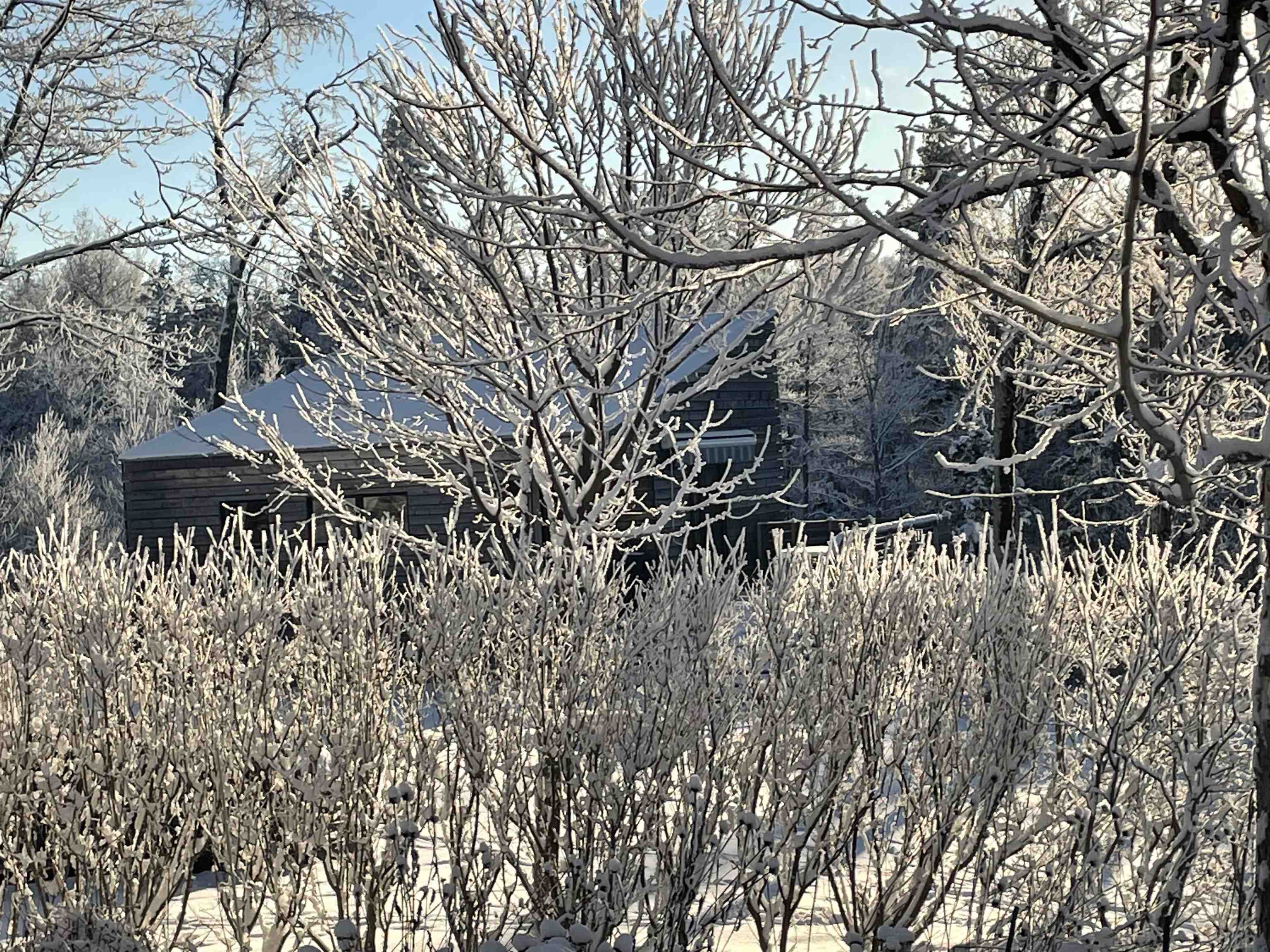 1069 Bert White Road