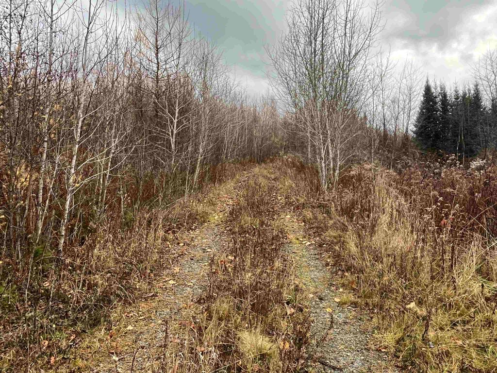 Photo of 19 Great Rock Road, Lancaster, NH 03584 (MLS # 5068507)