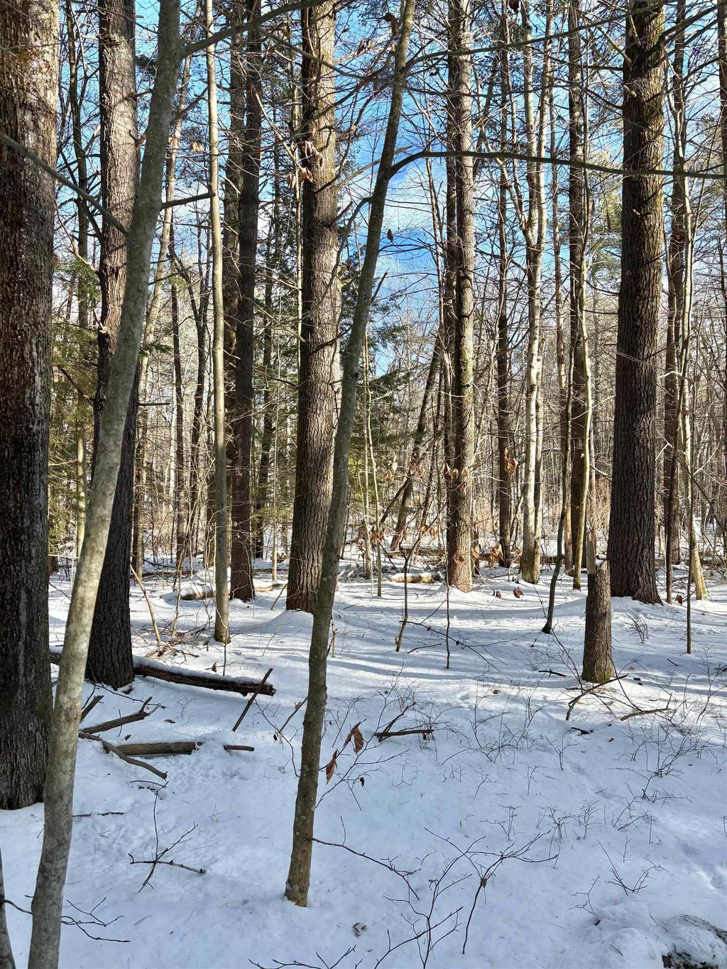 Photo of 801 Currier Road, Candia, NH 03034 (MLS # 5072732)