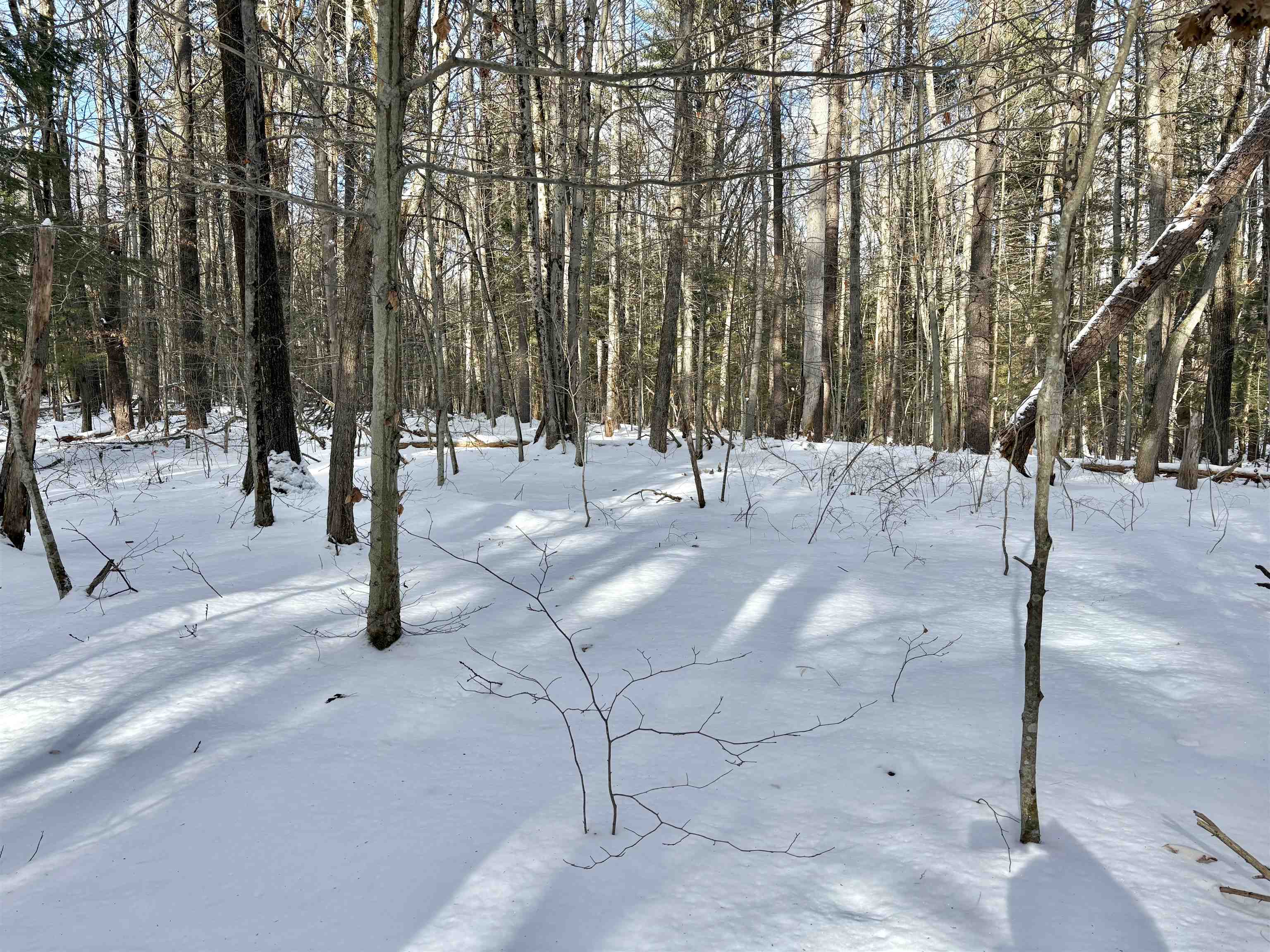 Lot 80-1 Currier Road