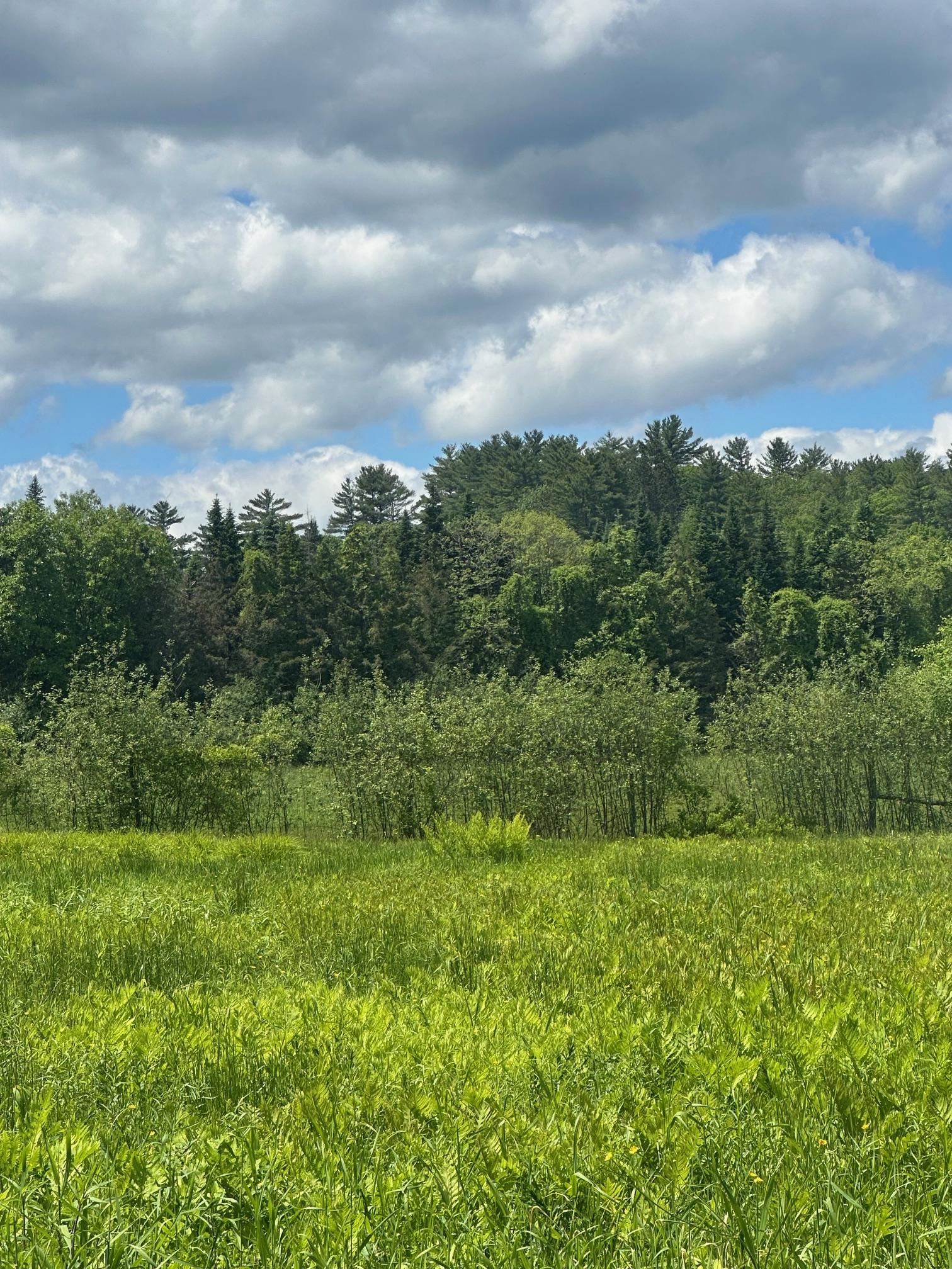 123 Rte 5 LOT #4