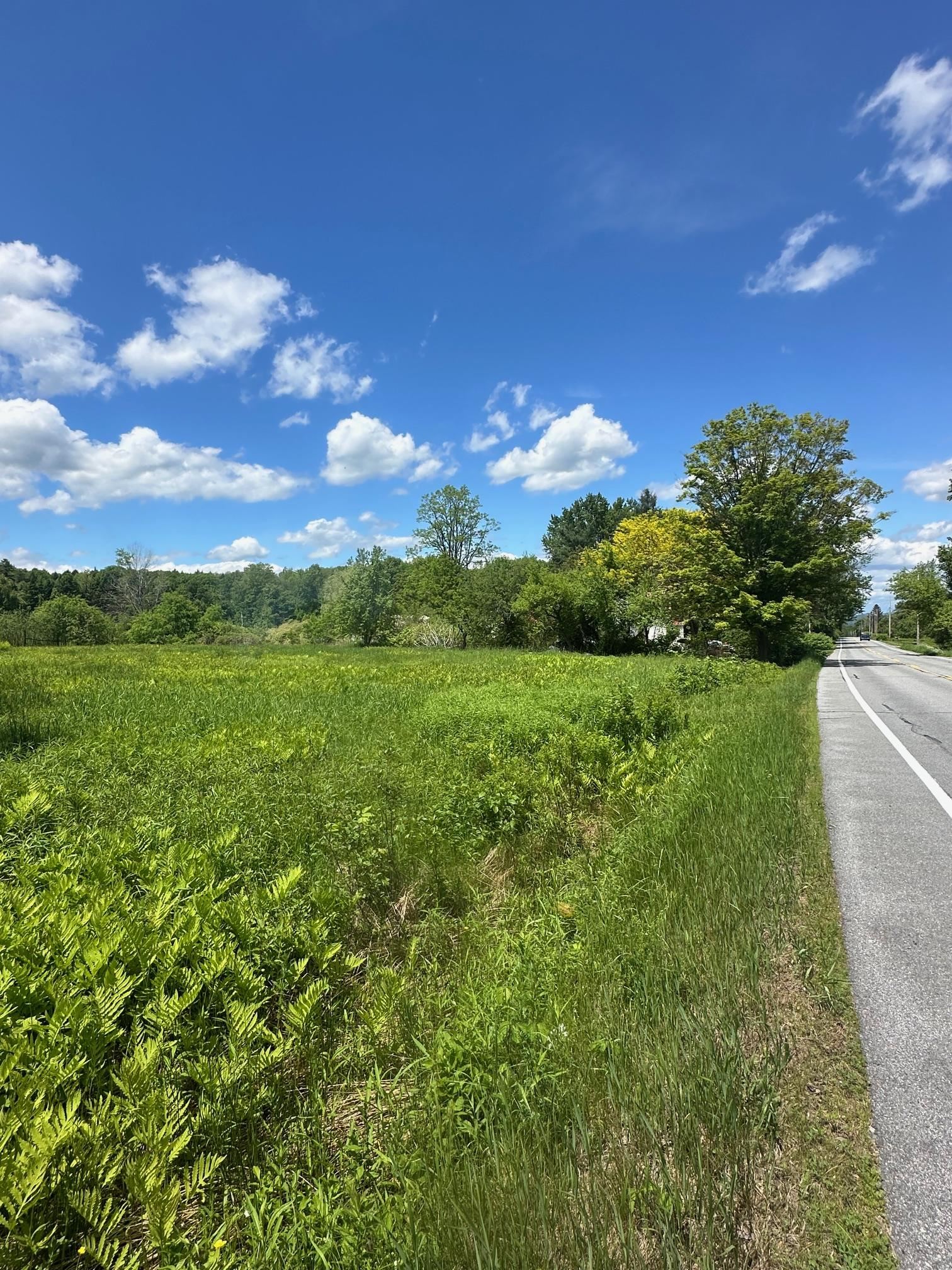 123 Rte 5 LOT #4