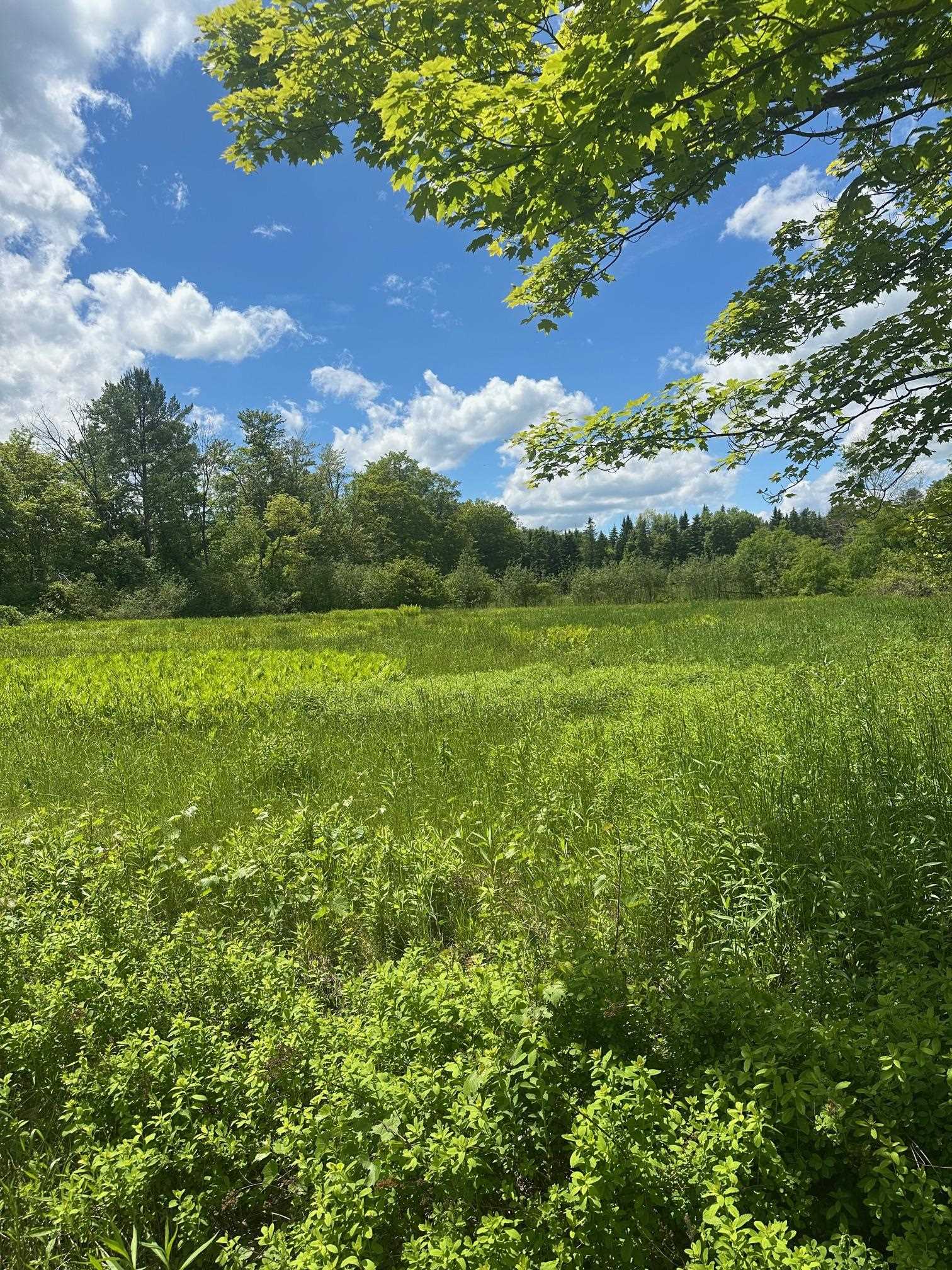 123 Rte 5 LOT #4
