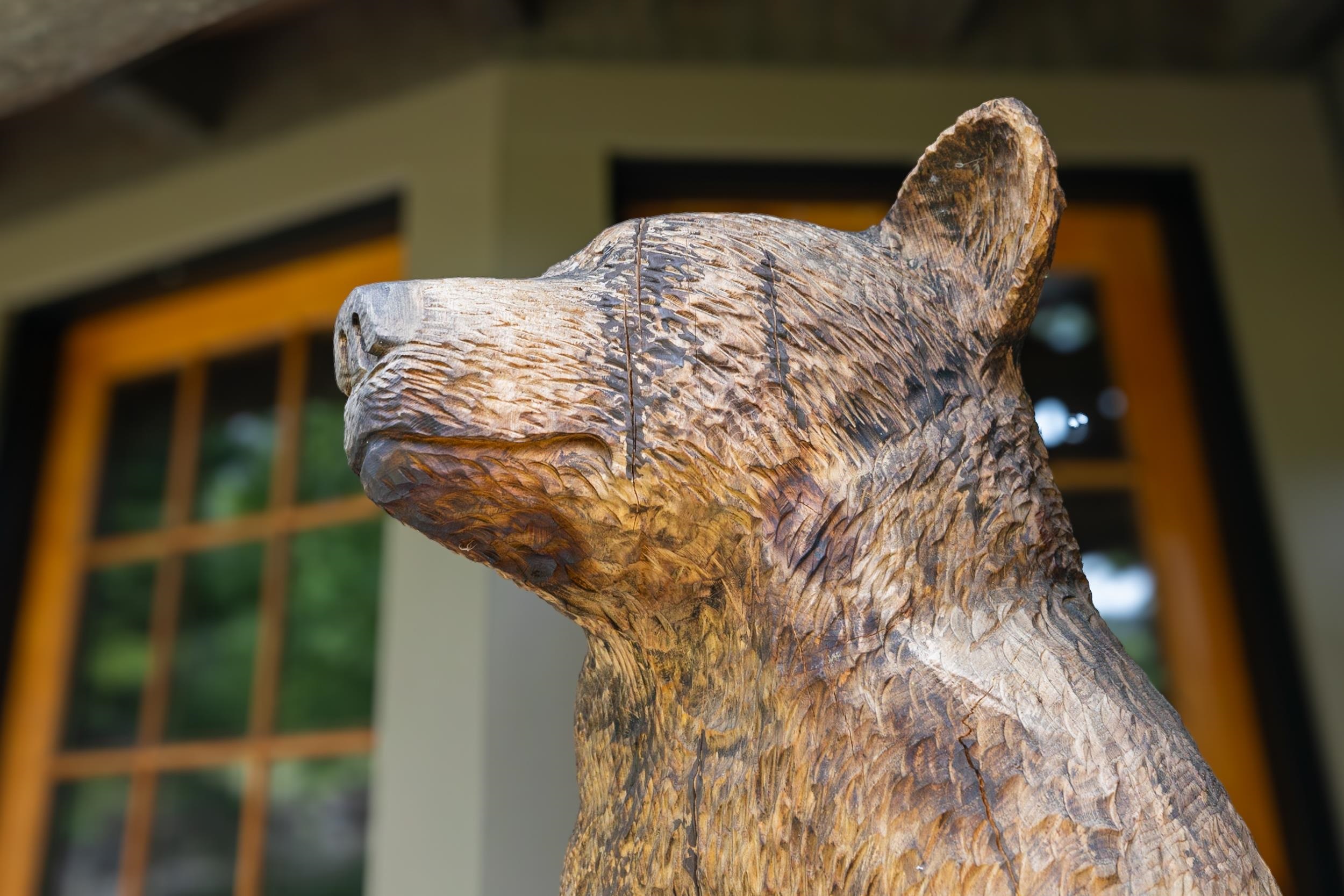 62 Moon Shadow Drive M4 & M5