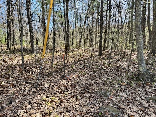 Lot 40B Quimby Road 40-D