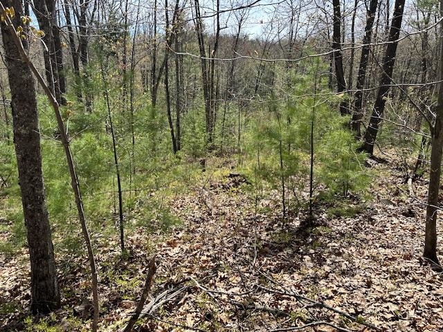 Lot 41-B Quimby Road 41-B