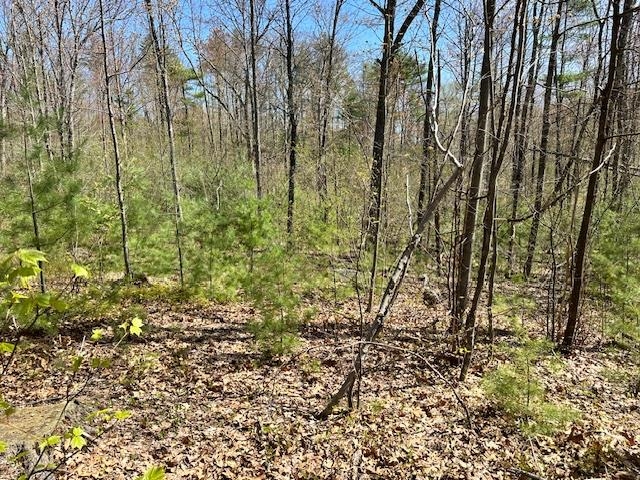 Lot 41-B Quimby Road 41-B