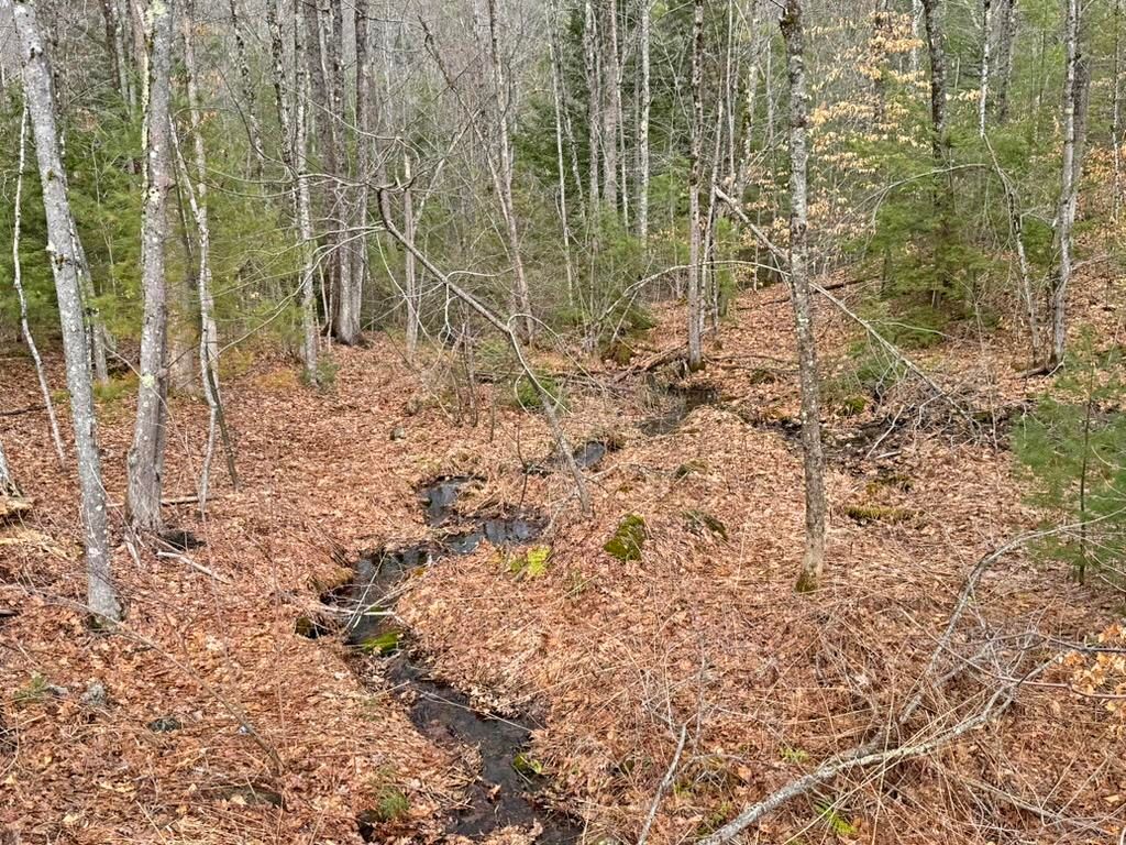 Photo of 78 Hopper Road, Milton, NH 03851 (MLS # 5083581)