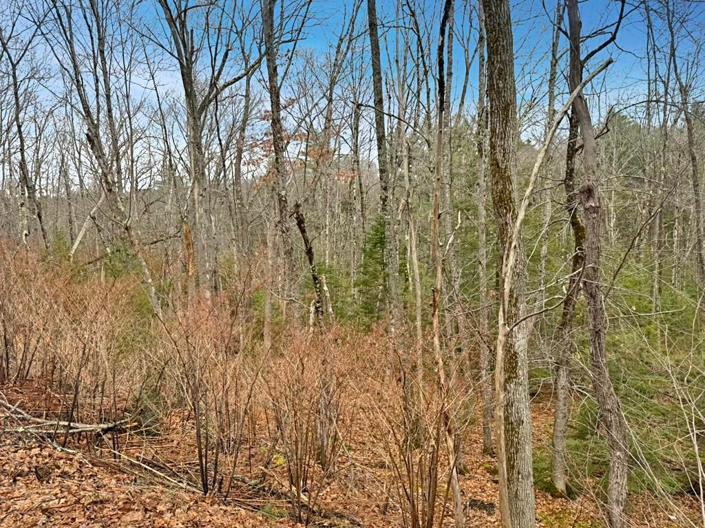 Photo of 78 Hopper Road, Milton, NH 03851 (MLS # 5083581)