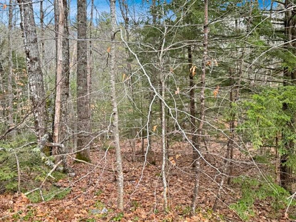 Photo of 78 Hopper Road, Milton, NH 03851 (MLS # 5083581)