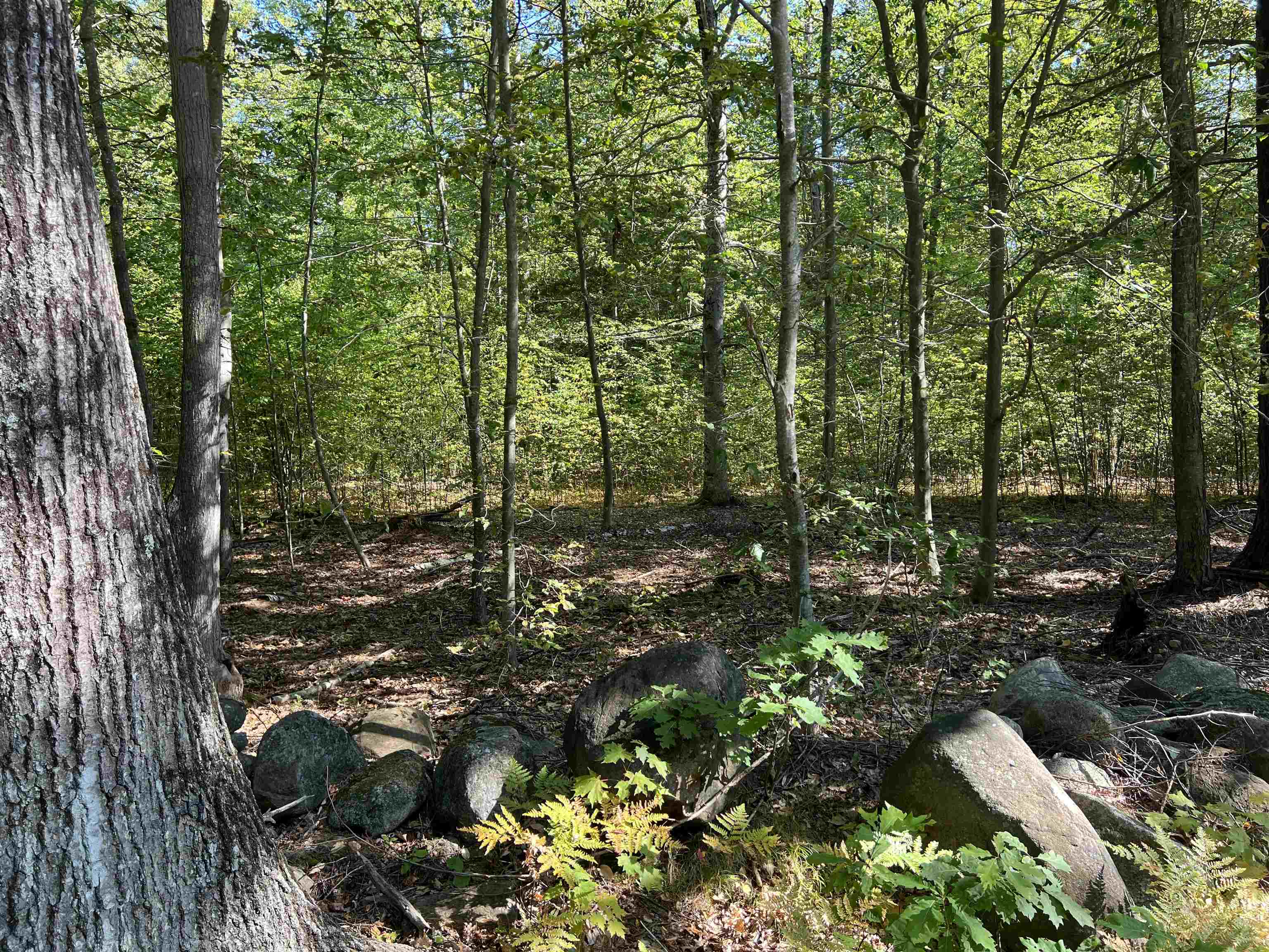 Farrington Corner Road