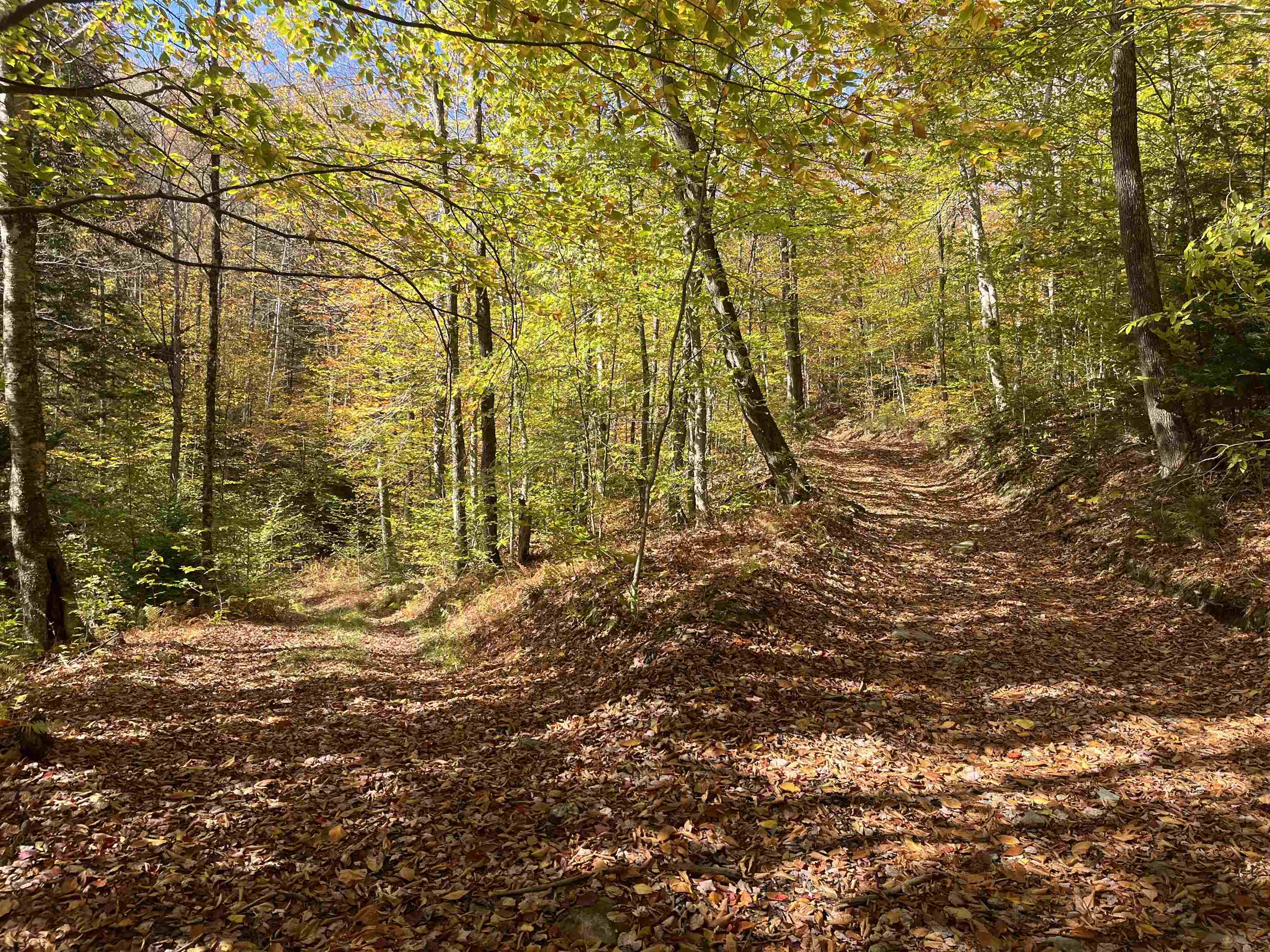 00 Messier Hill Road