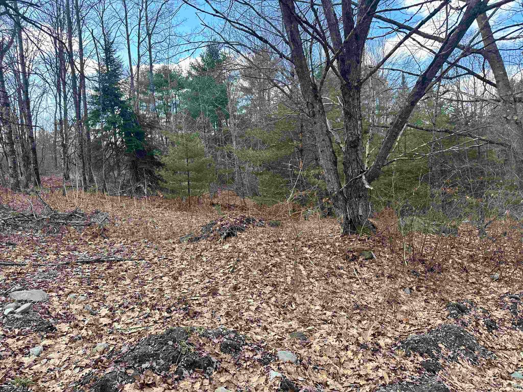 Photo of 70 Hodge Hill Road #57, Lisbon, NH 03585 (MLS # 5039079)