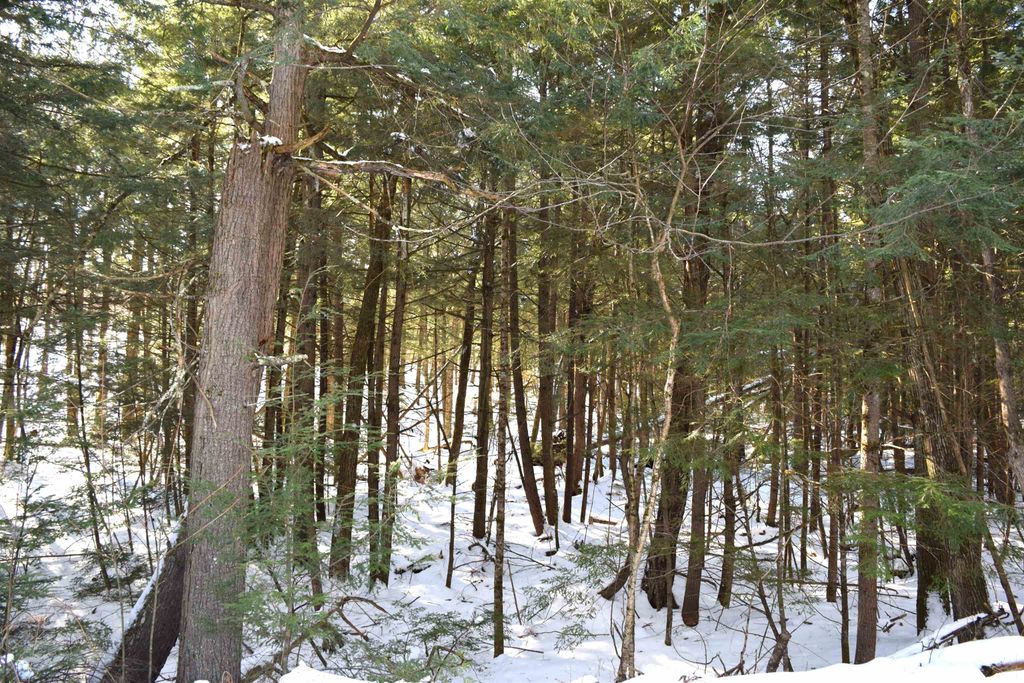 Photo of 185 Hanover Drive #185, Haverhill, NH 03765 (MLS # 5065790)