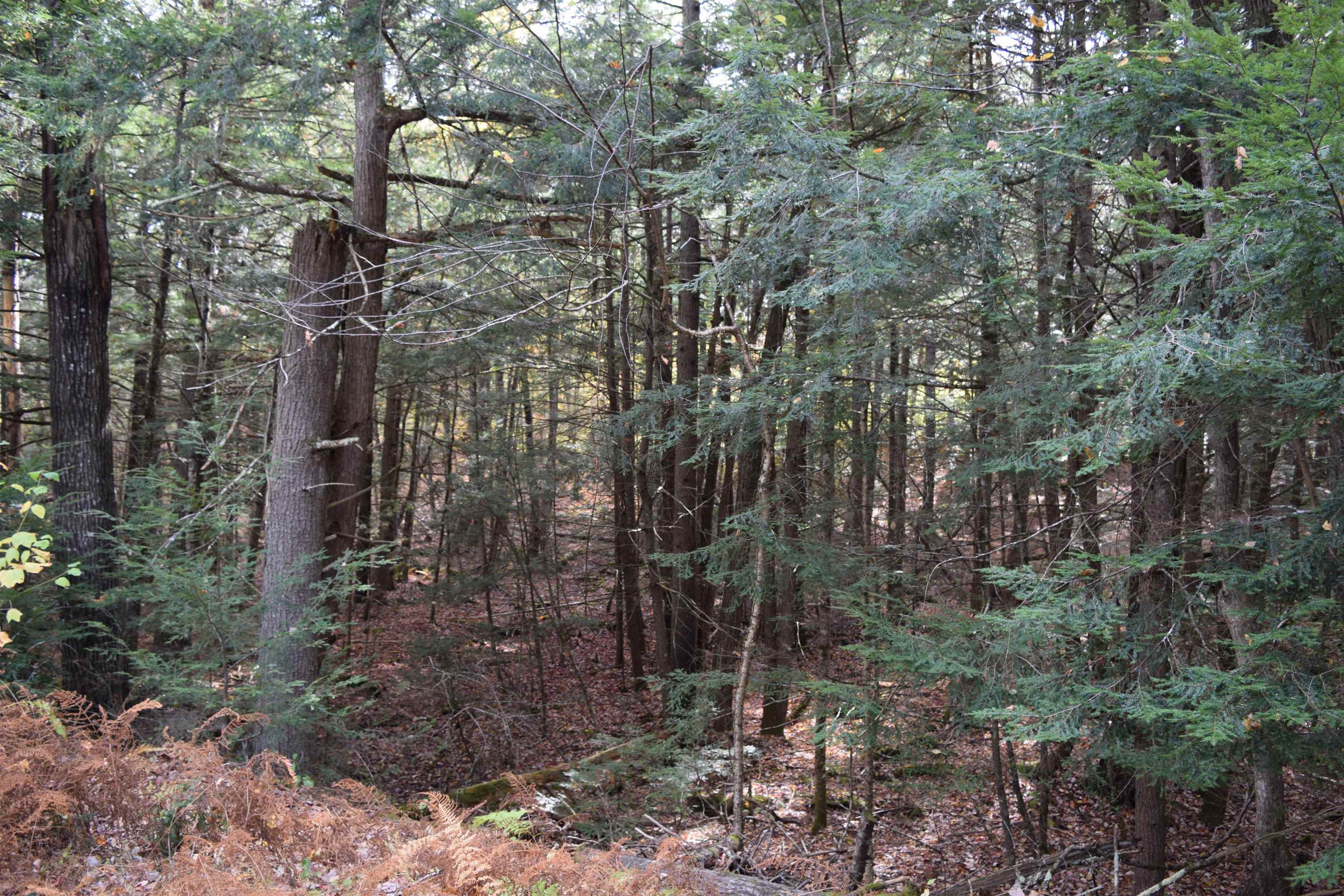 Lot 185 Hanover Drive 185