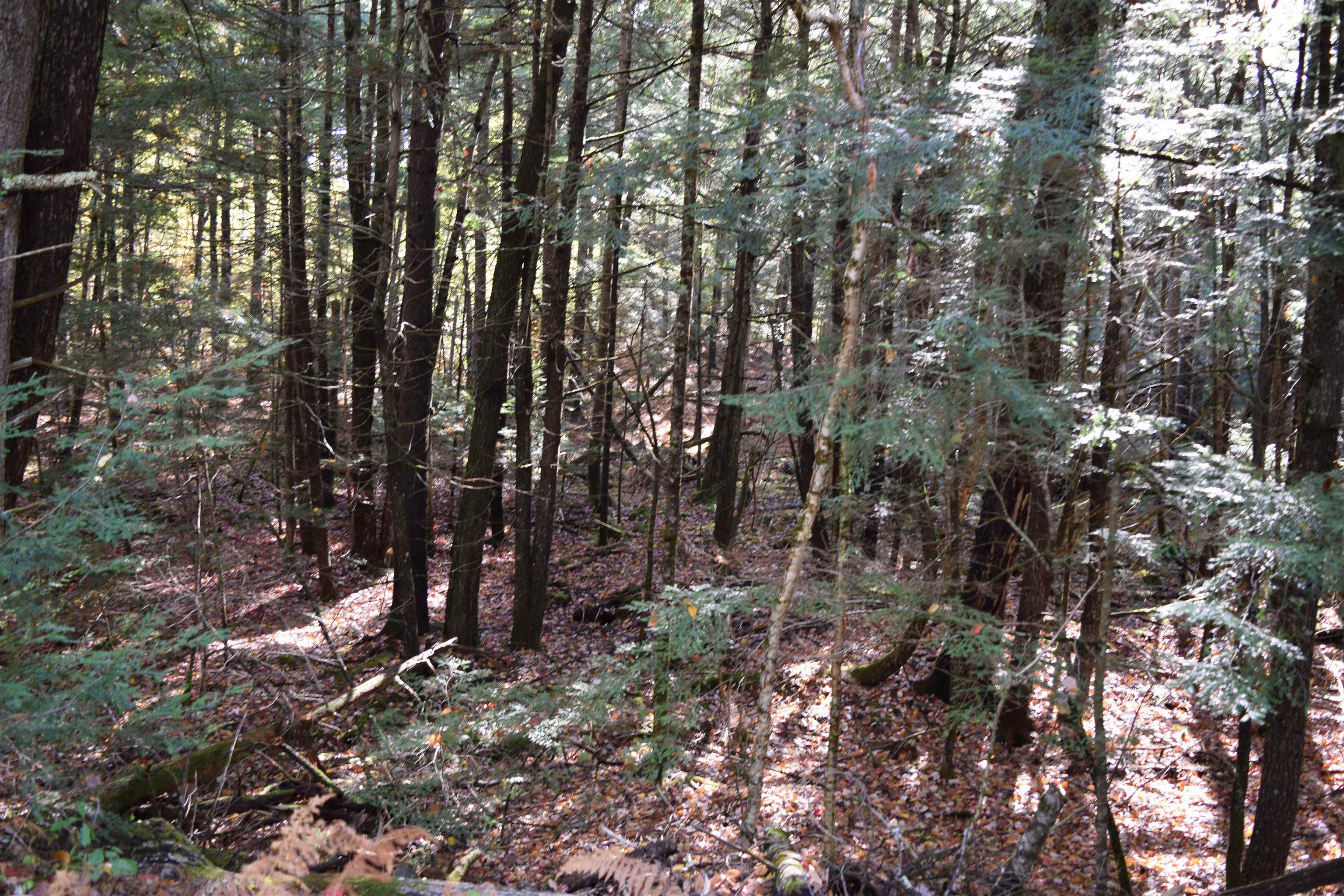 Lot 185 Hanover Drive 185