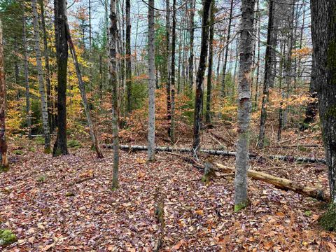 0 Washington Drive Washington NH 03280