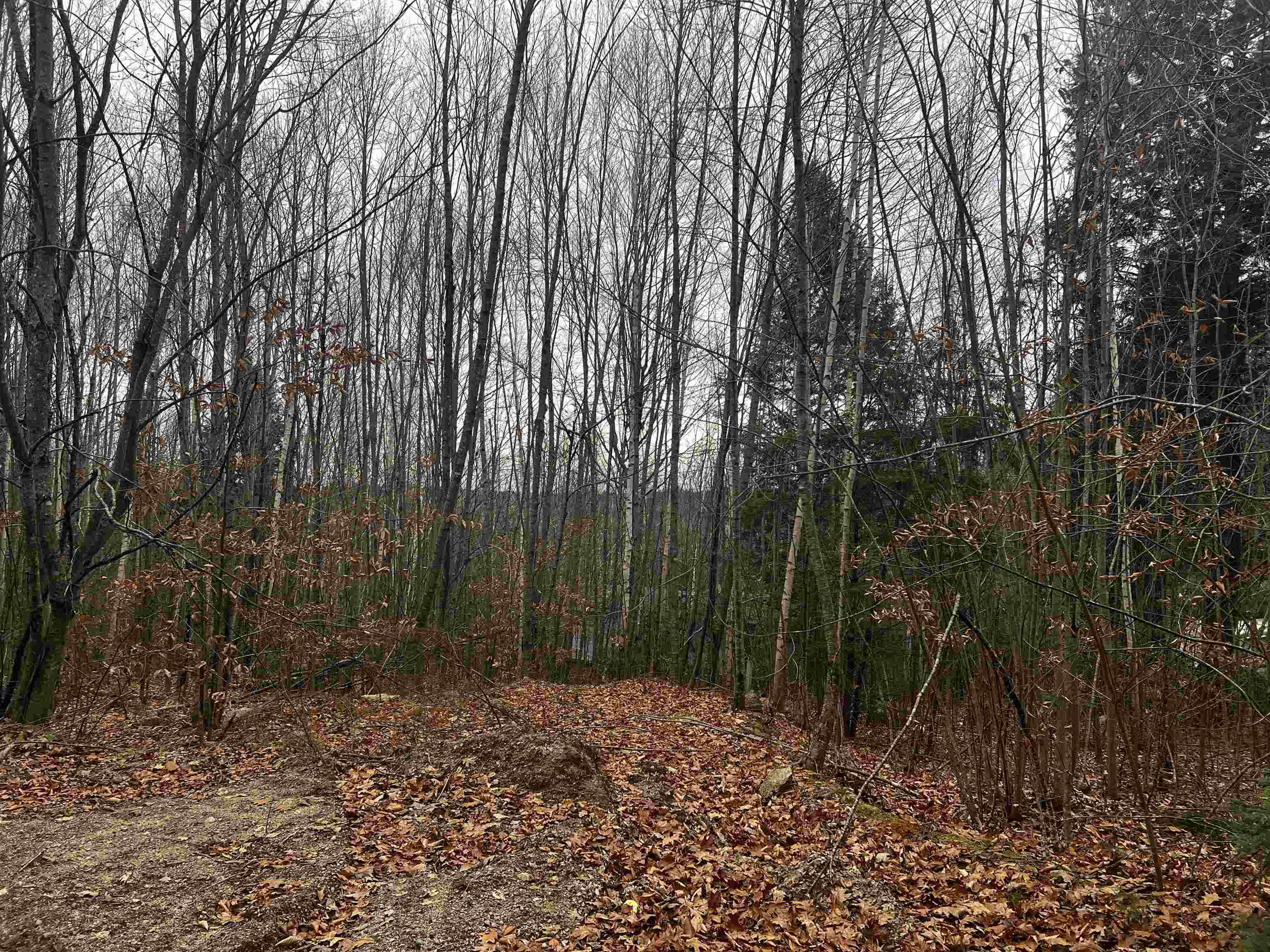 196 Old Pound Road
