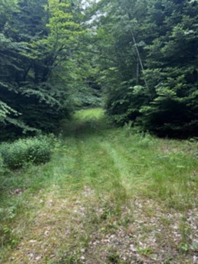 196 Old Pound Road
