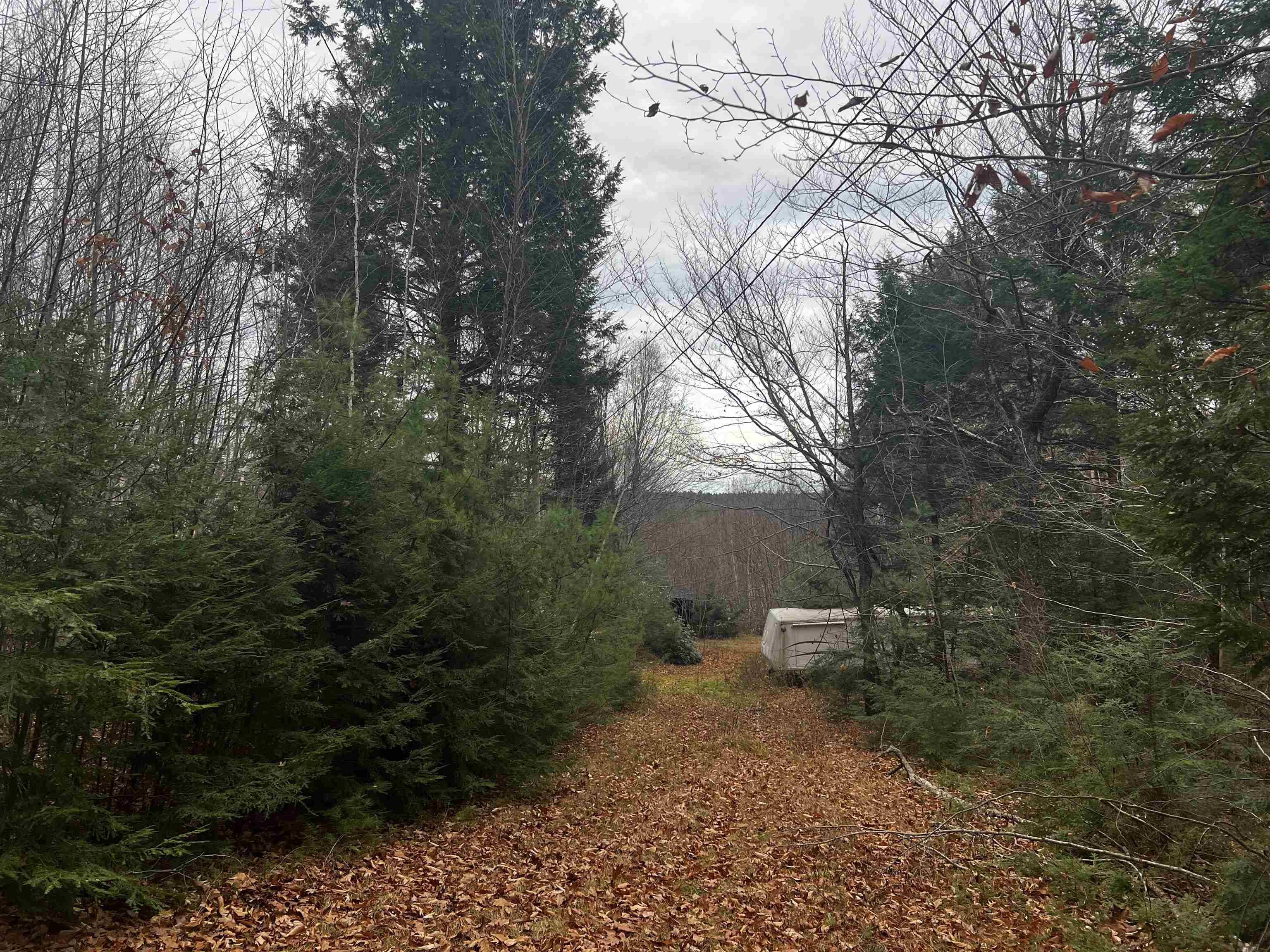 196 Old Pound Road