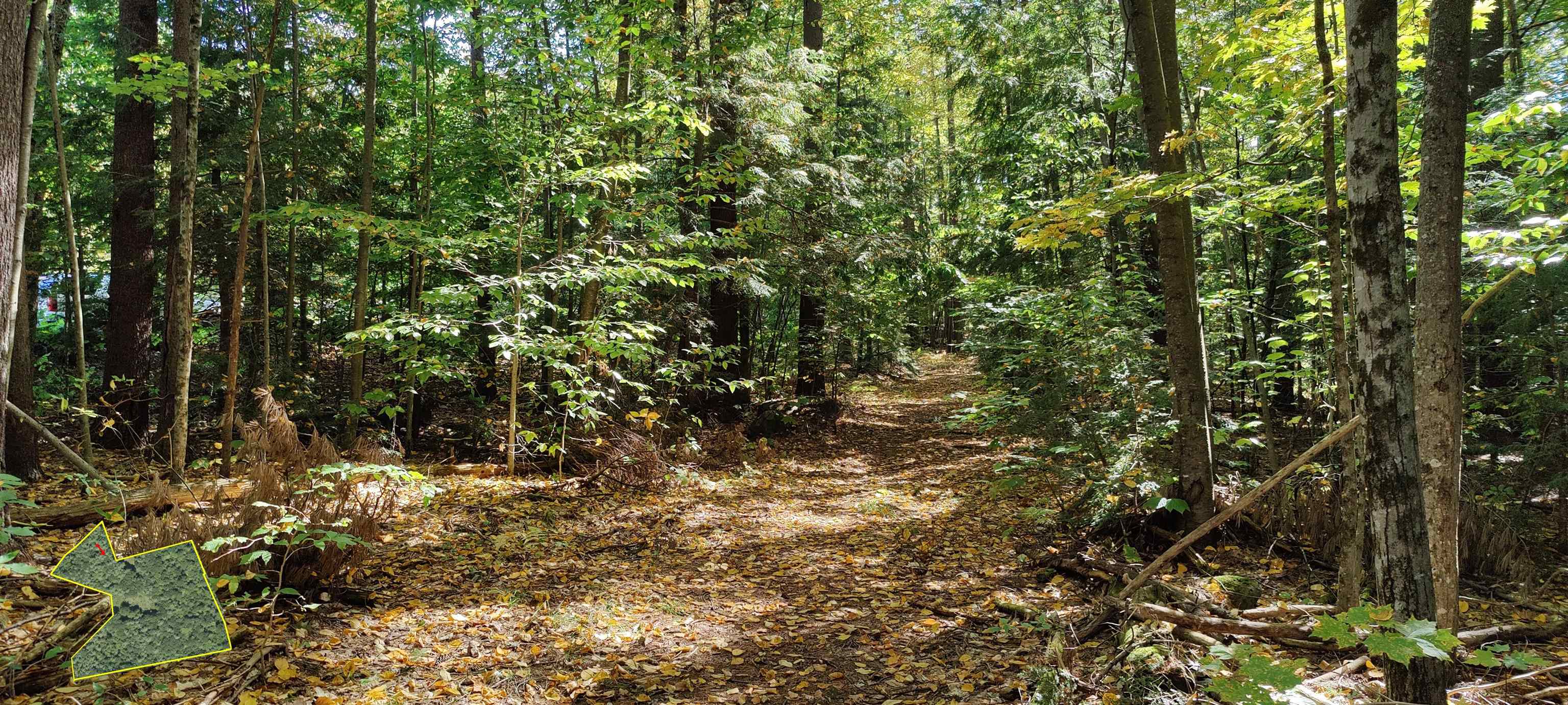 R5-20-1 266 Francestown Road