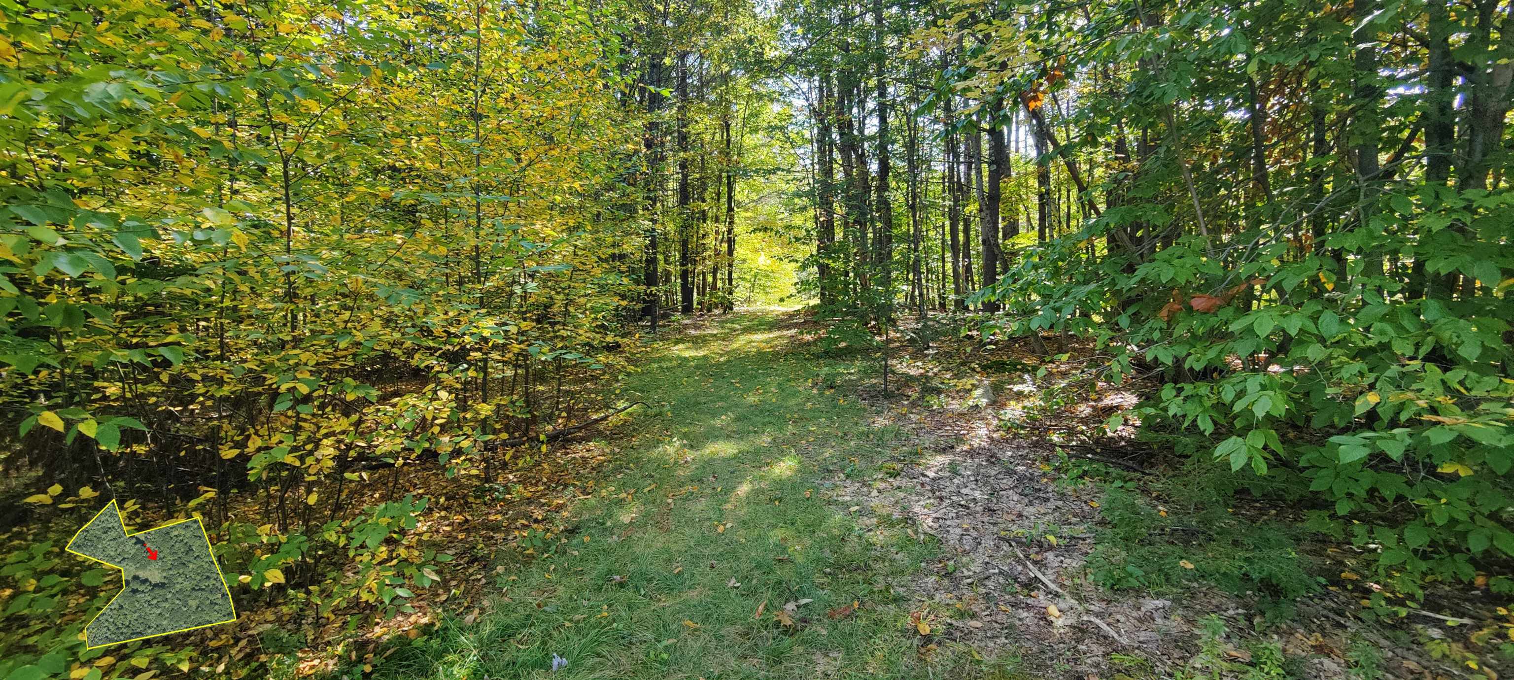 R5-20-1 266 Francestown Road