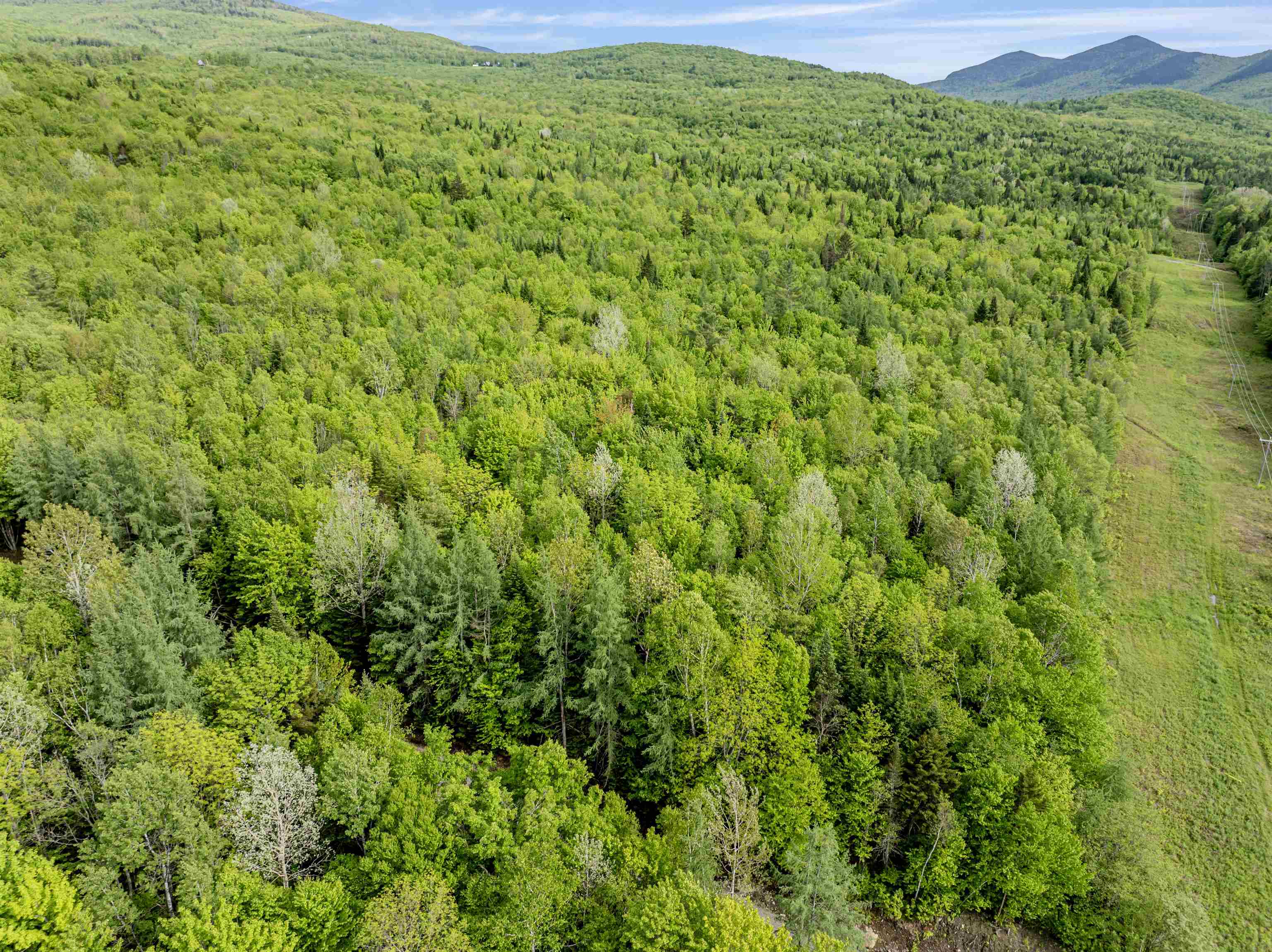 Lot 8 Off US Route 3